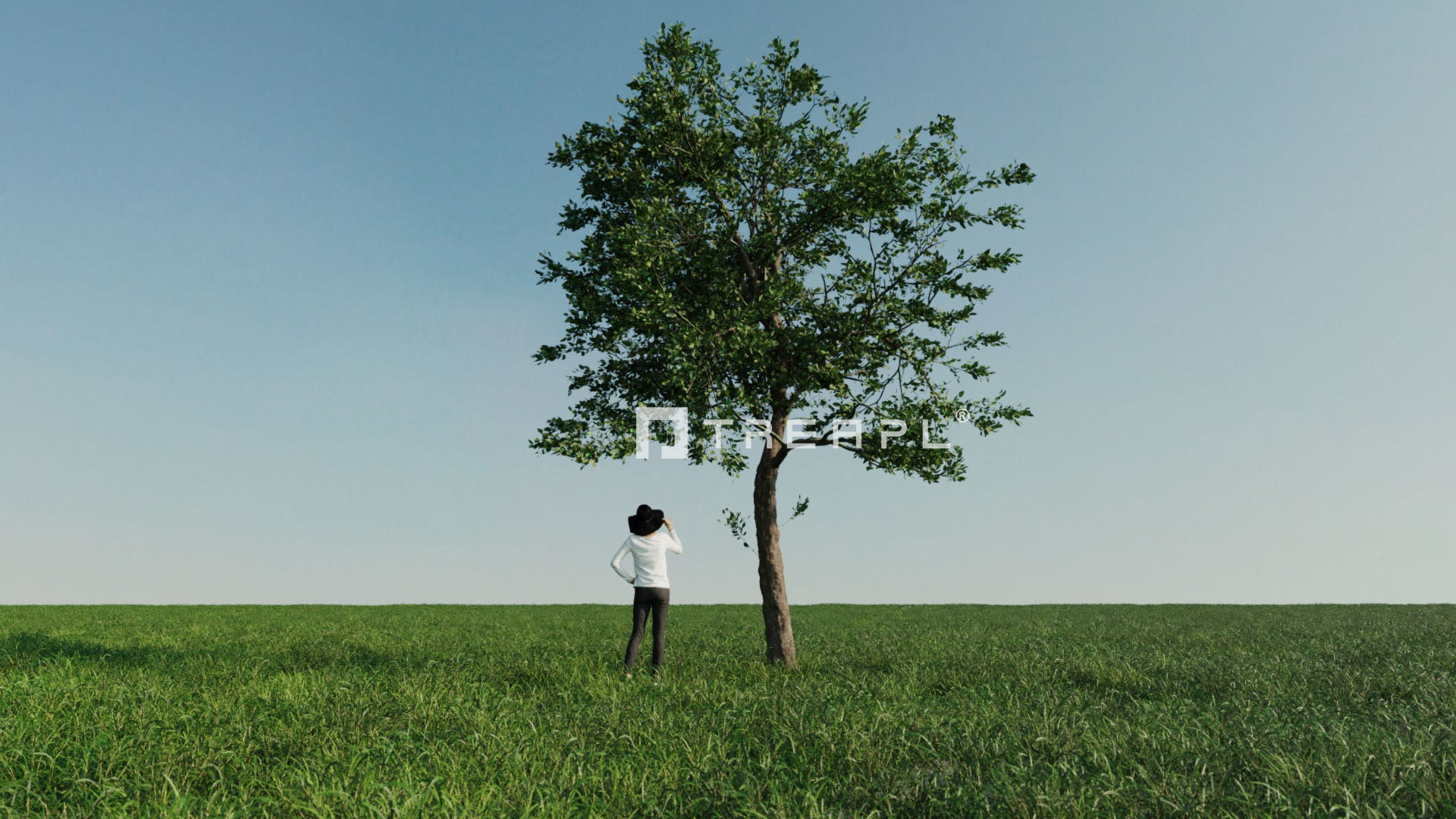 110X Hyper Trees by Treapl 3D model_39