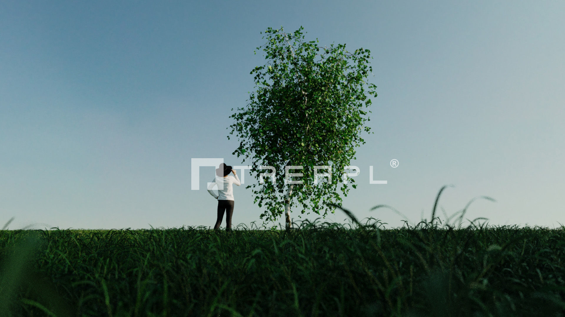 110X Hyper Trees by Treapl 3D model_50