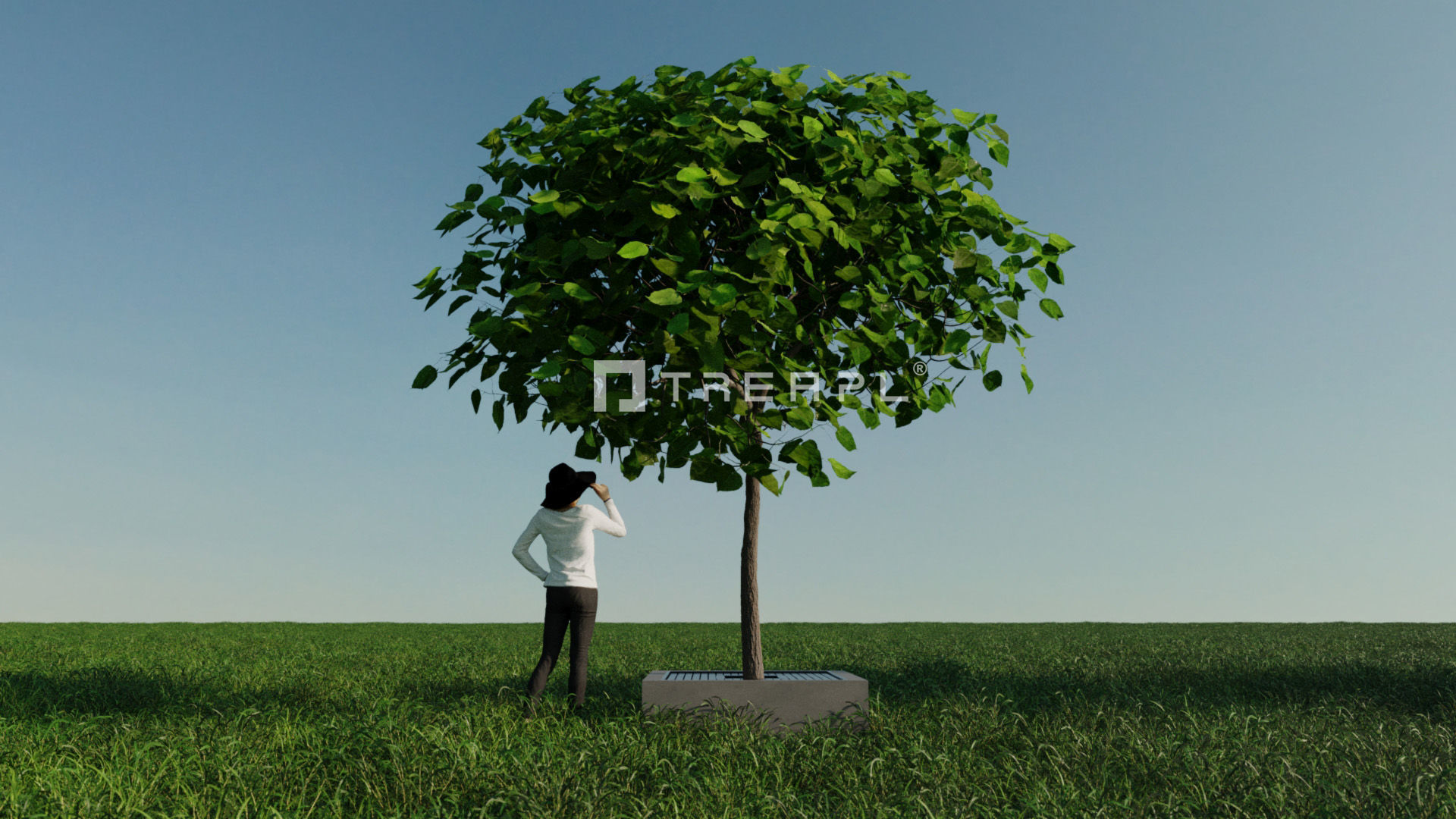 110X Hyper Trees by Treapl 3D model_61
