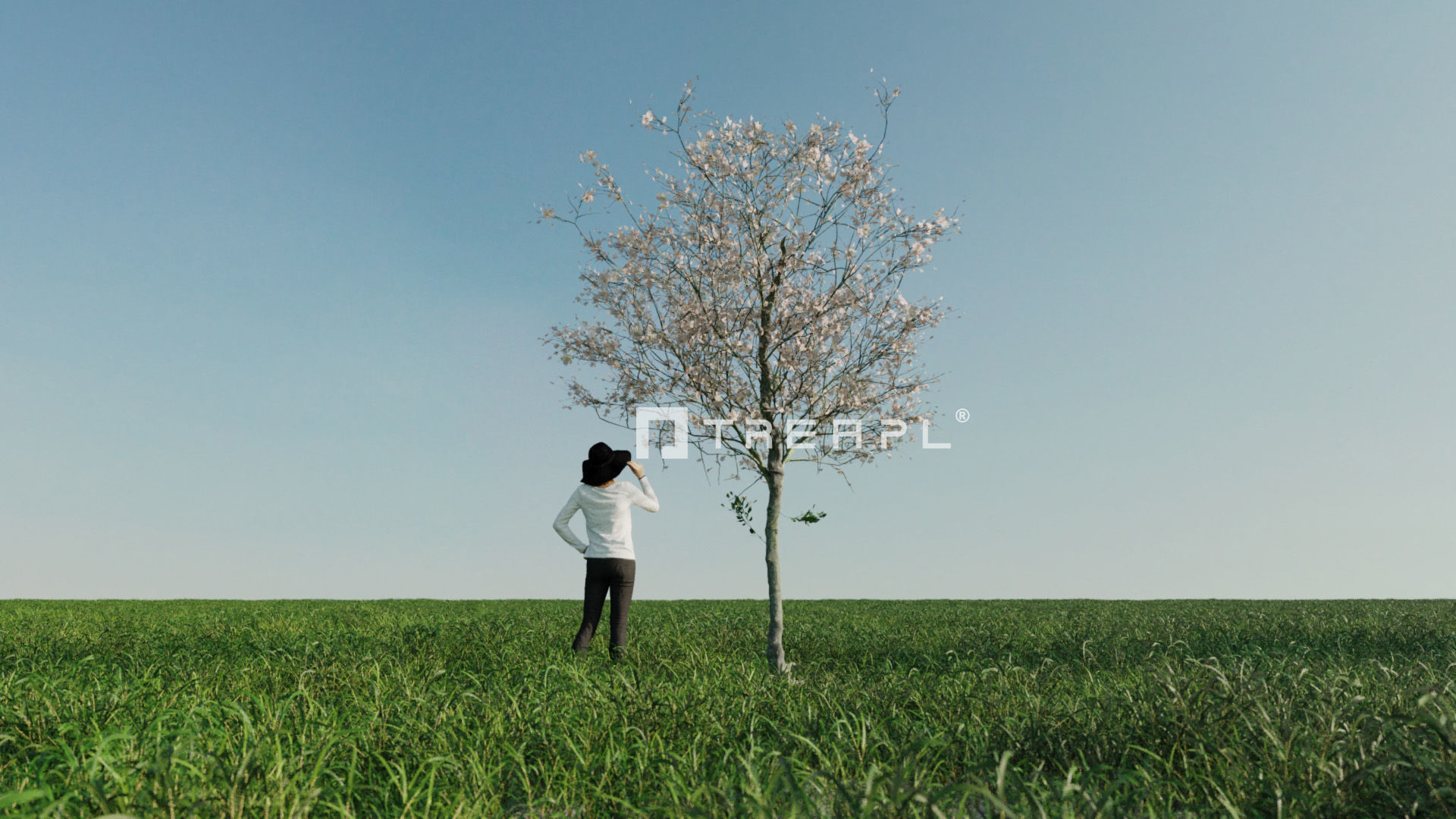 110X Hyper Trees by Treapl 3D model_31