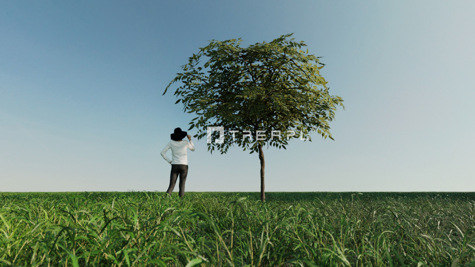 110X Hyper Trees by Treapl 3D model_21