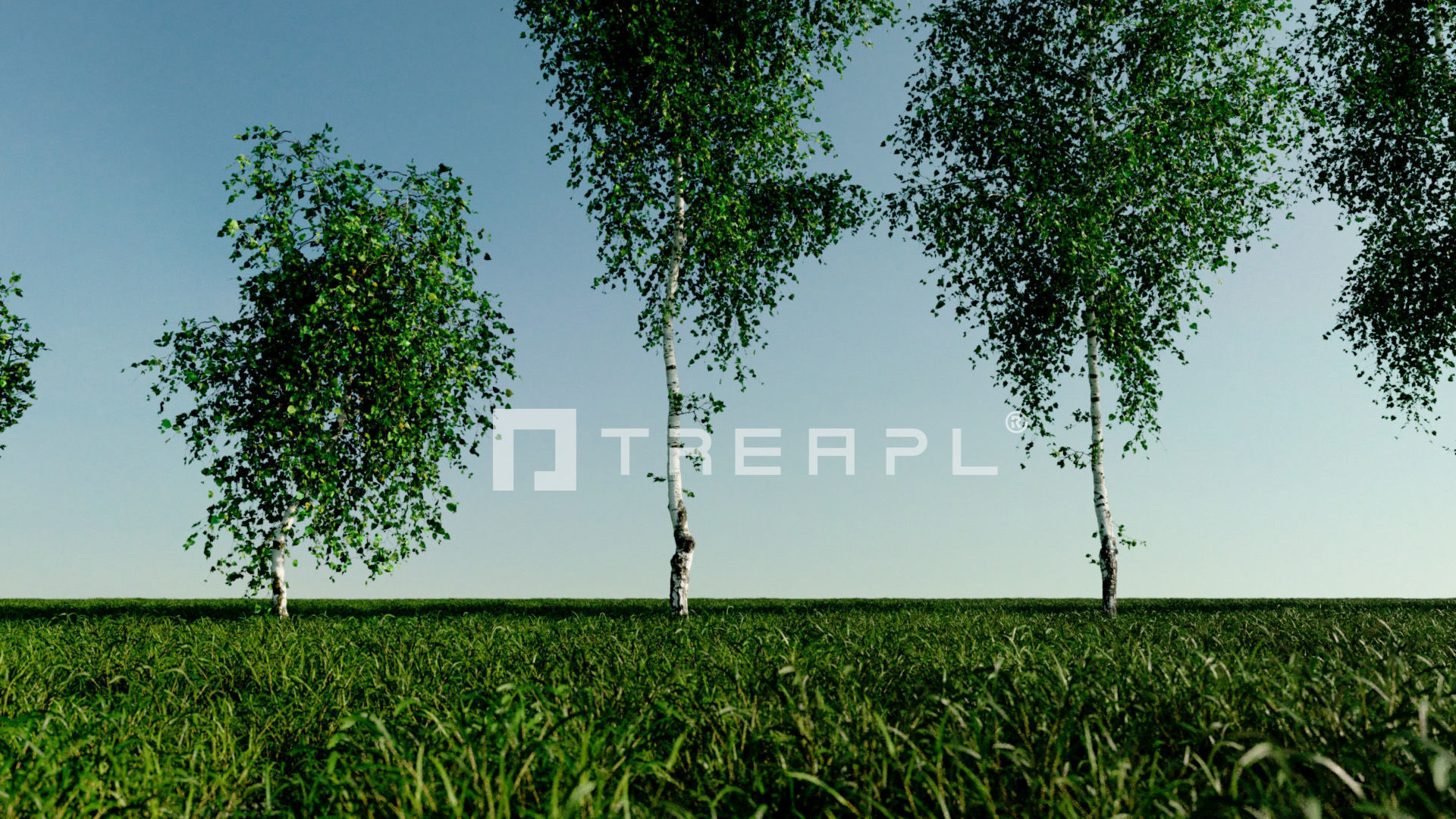 110X Hyper Trees by Treapl 3D model_42