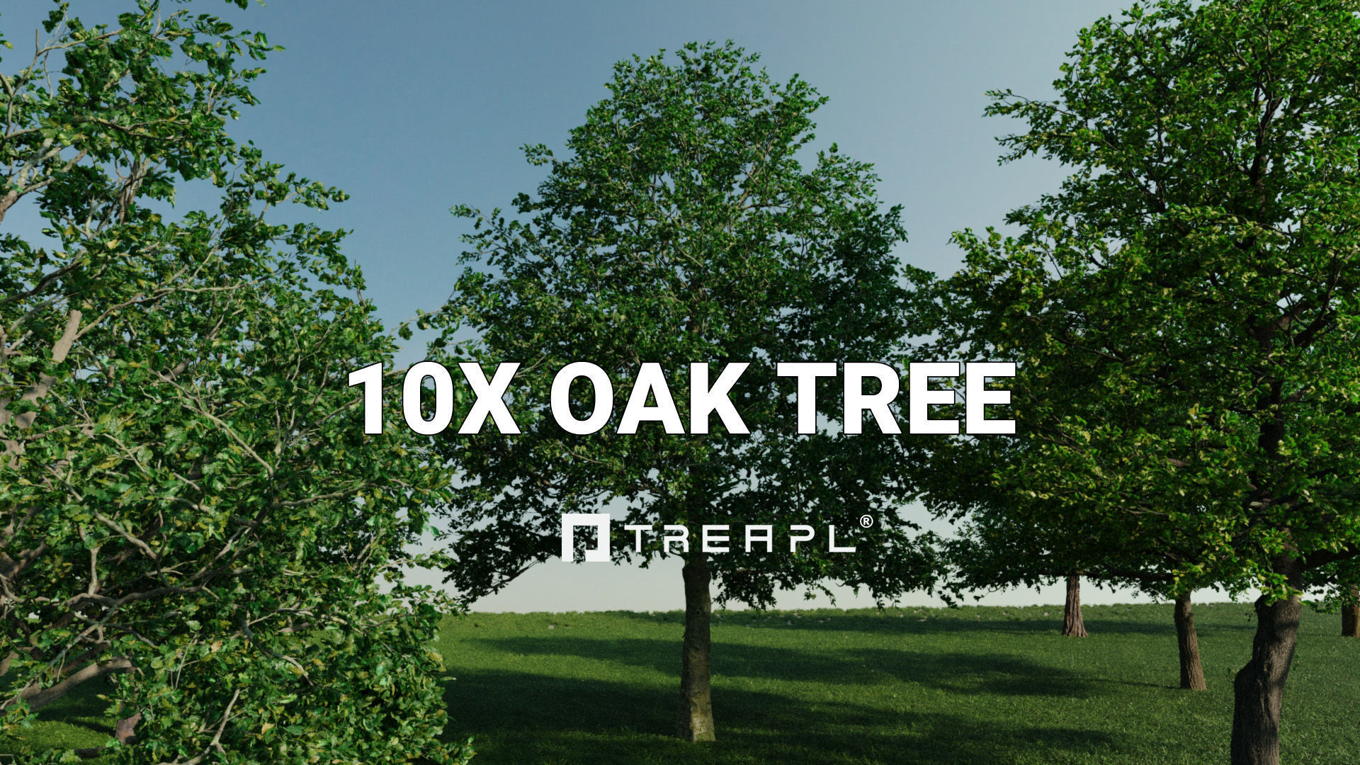 110X Hyper Trees by Treapl 3D model_4