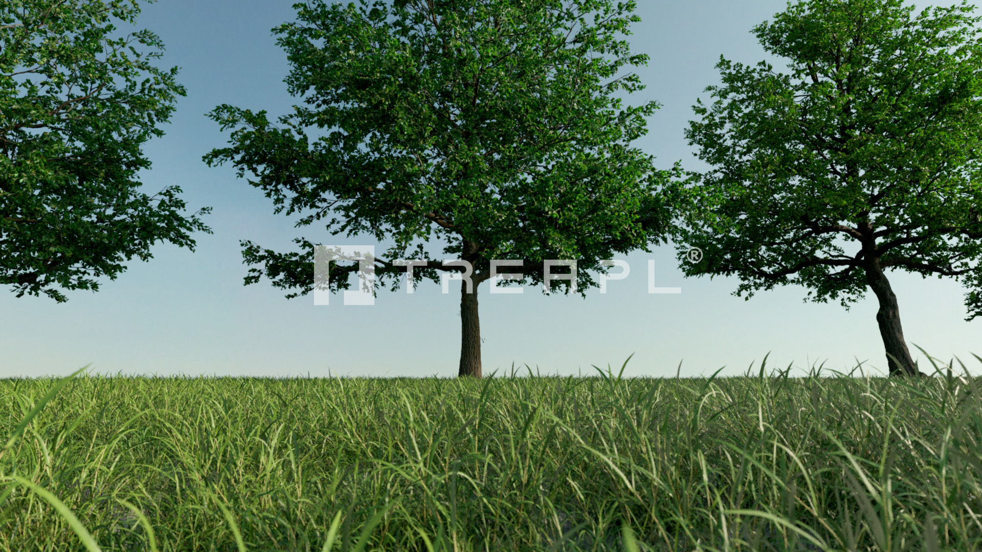 110X Hyper Trees by Treapl 3D model_105
