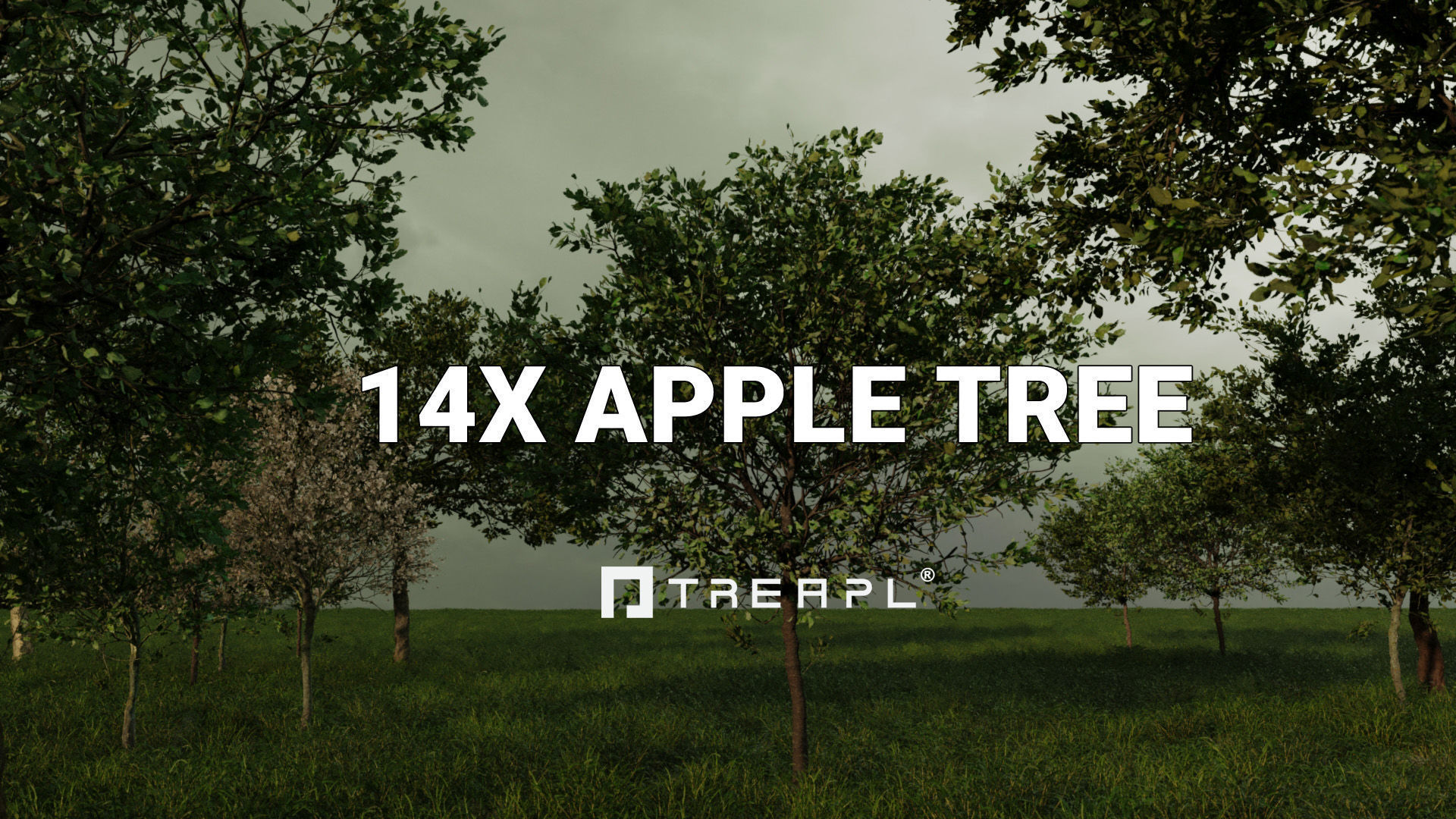 110X Hyper Trees by Treapl 3D model_5