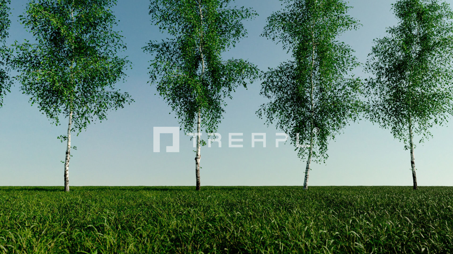 110X Hyper Trees by Treapl 3D model_46