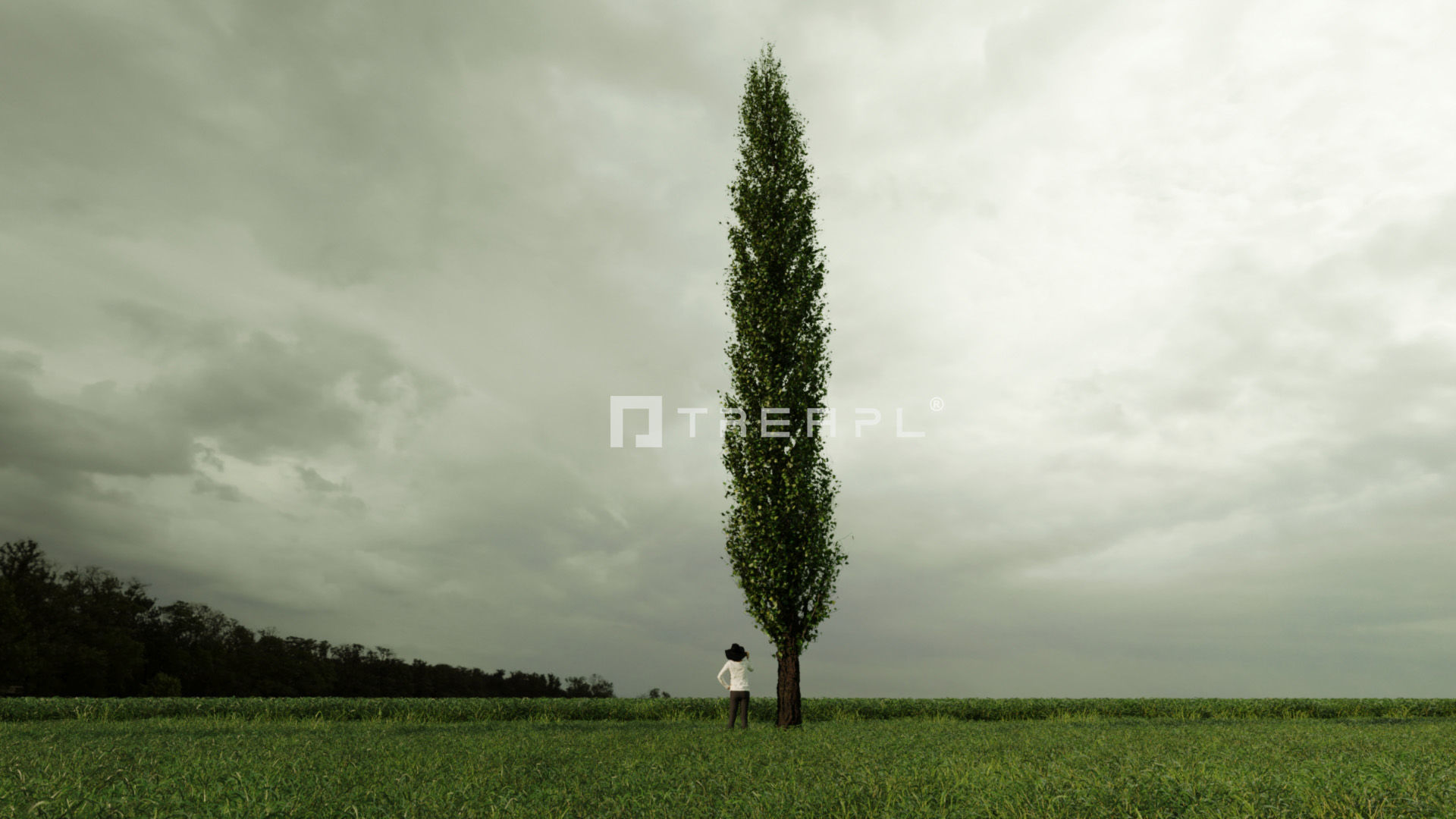 110X Hyper Trees by Treapl 3D model_119