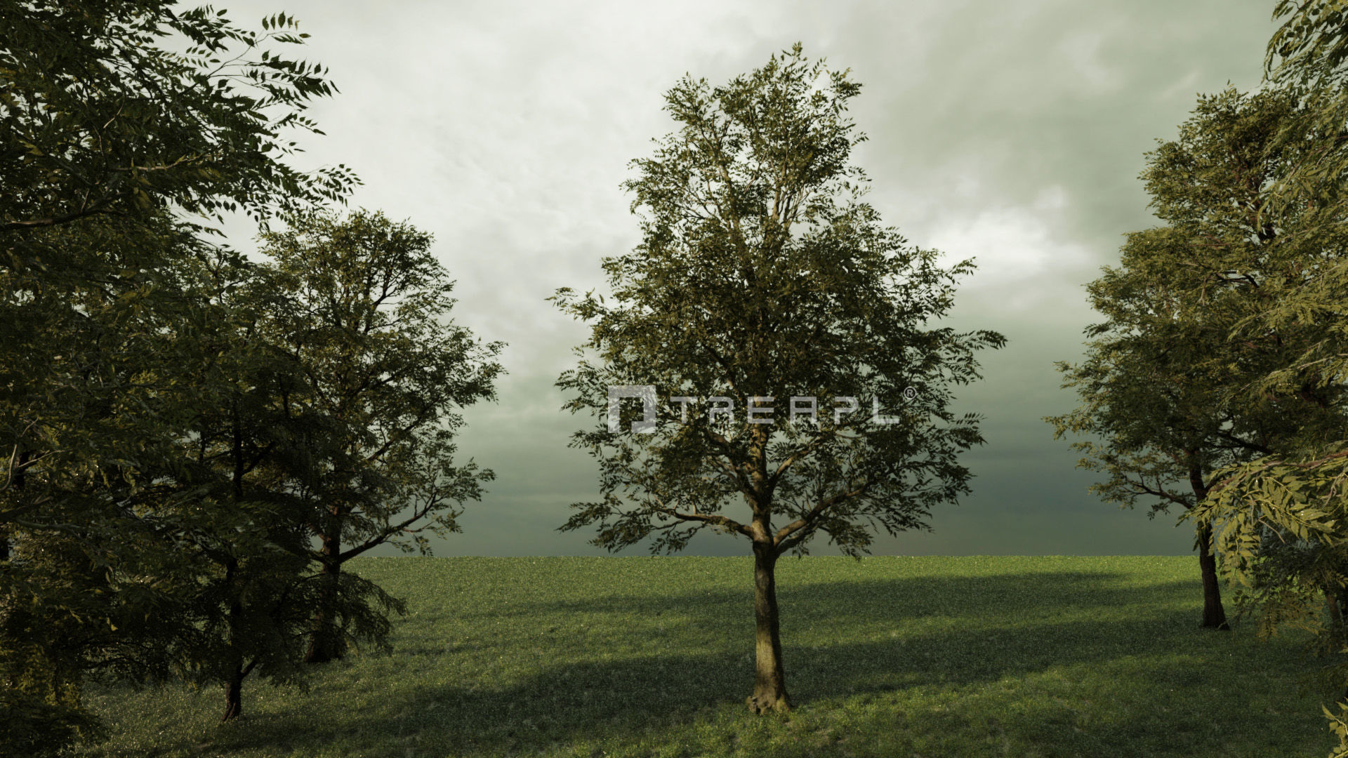 110X Hyper Trees by Treapl 3D model_28