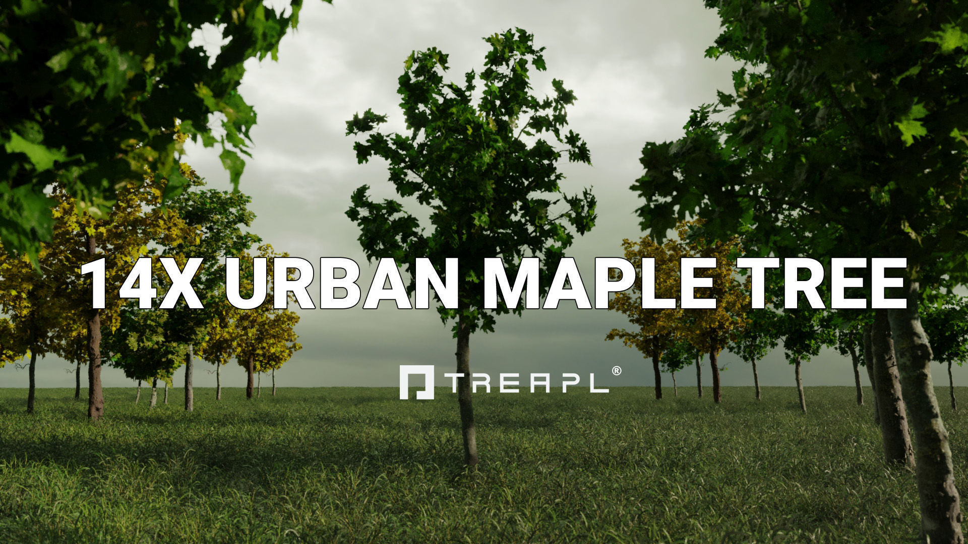 110X Hyper Trees by Treapl 3D model_8