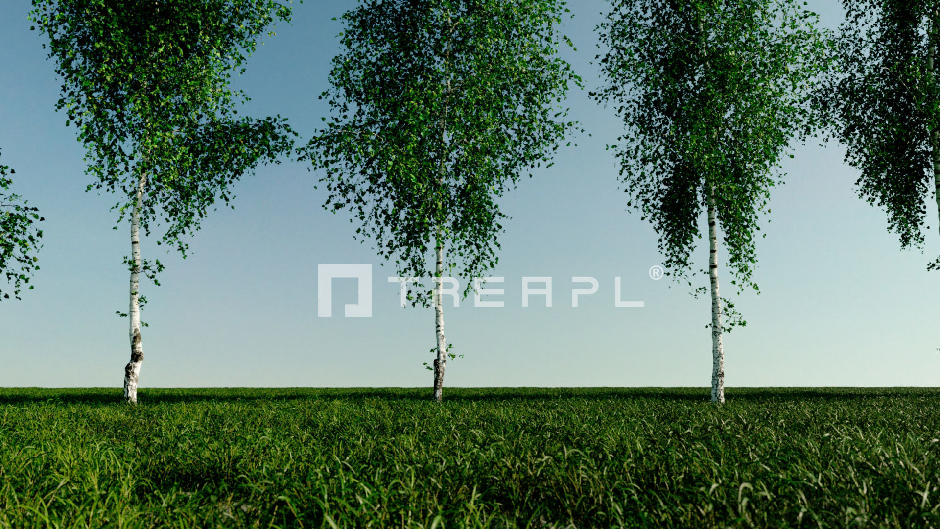 110X Hyper Trees by Treapl 3D model_43