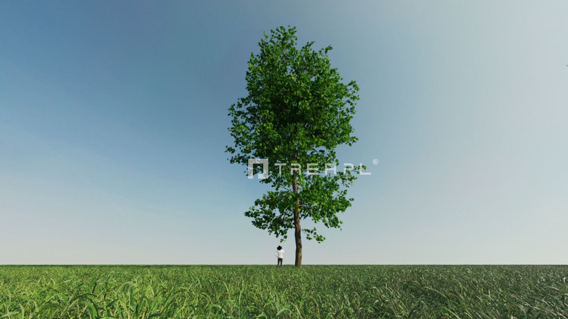 110X Hyper Trees by Treapl 3D model_86