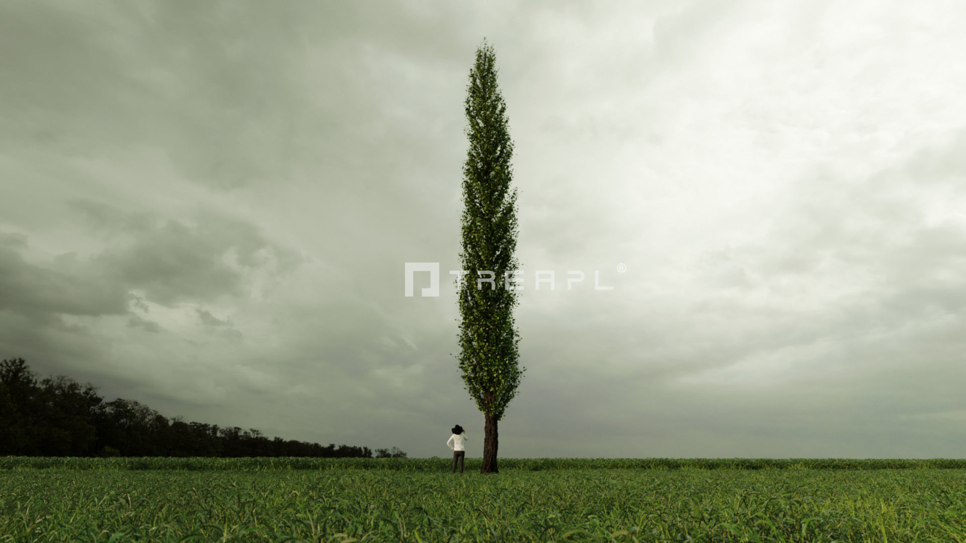110X Hyper Trees by Treapl 3D model_120
