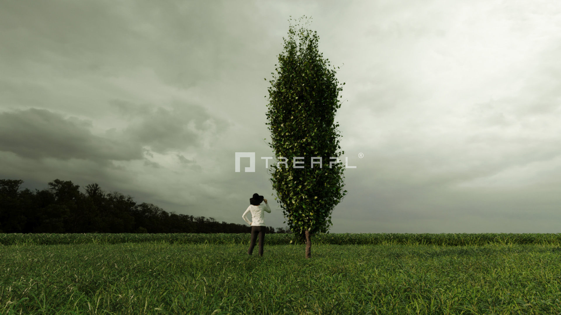 110X Hyper Trees by Treapl 3D model_117