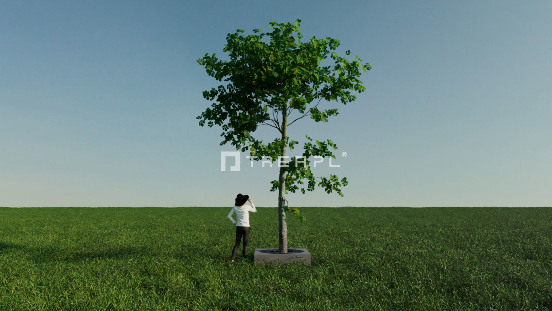 110X Hyper Trees by Treapl 3D model_129