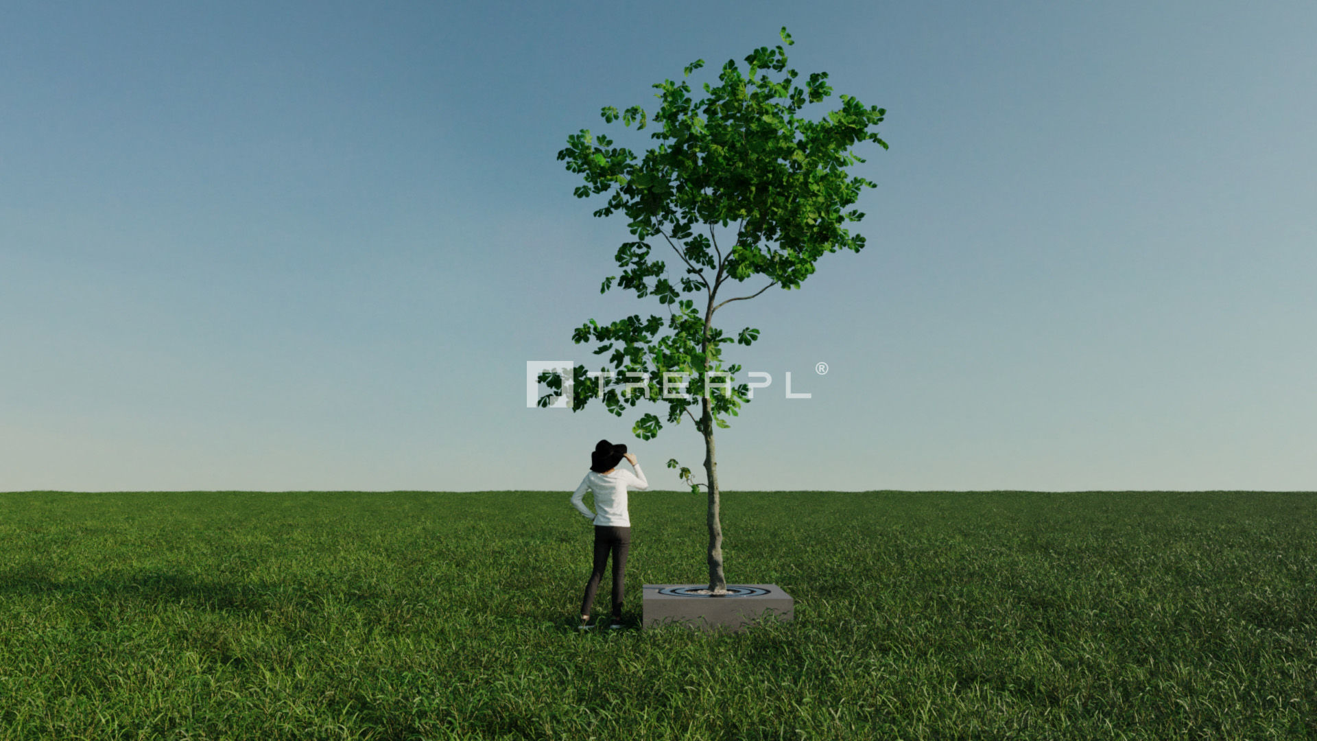 110X Hyper Trees by Treapl 3D model_128