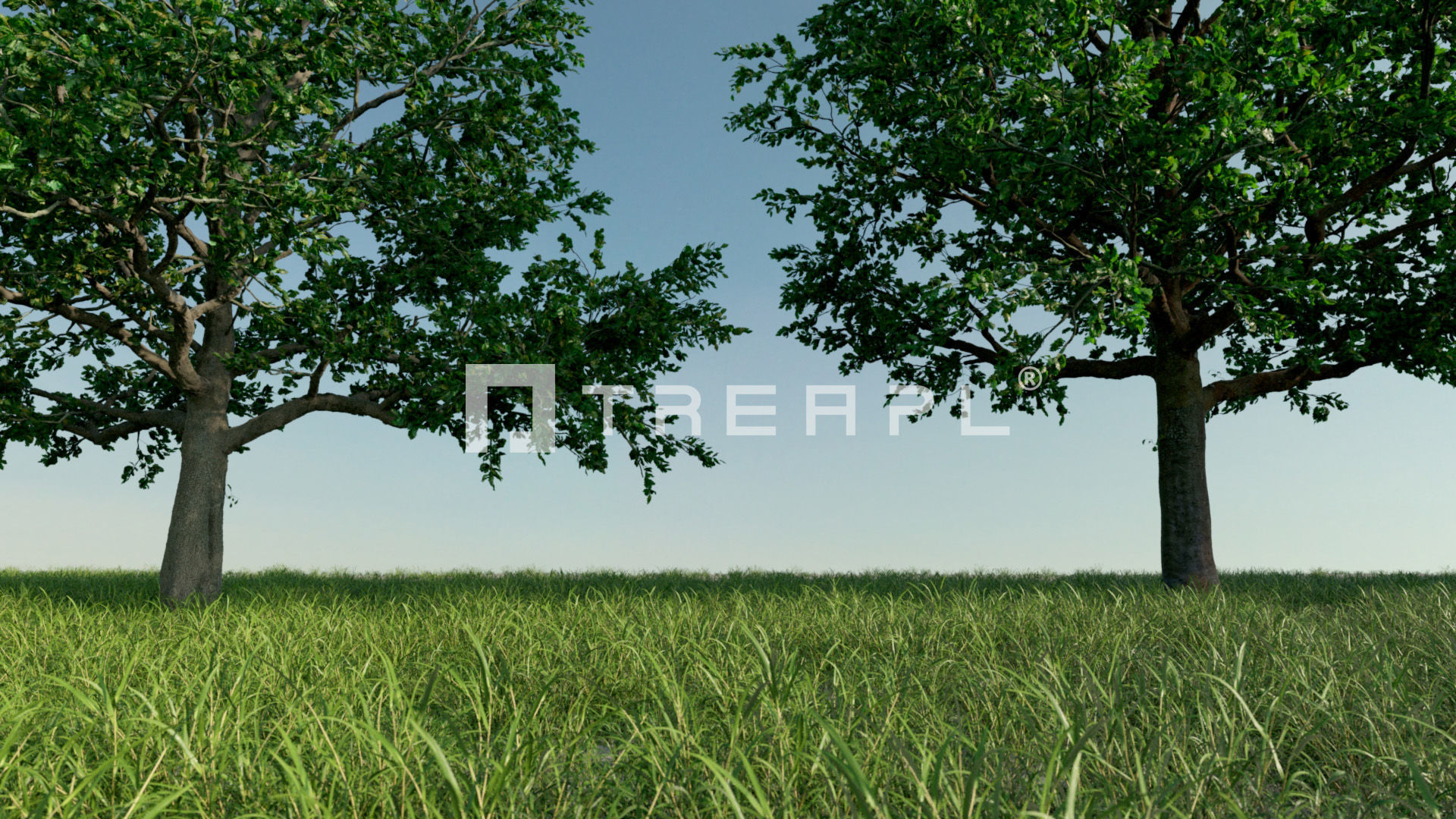 110X Hyper Trees by Treapl 3D model_101