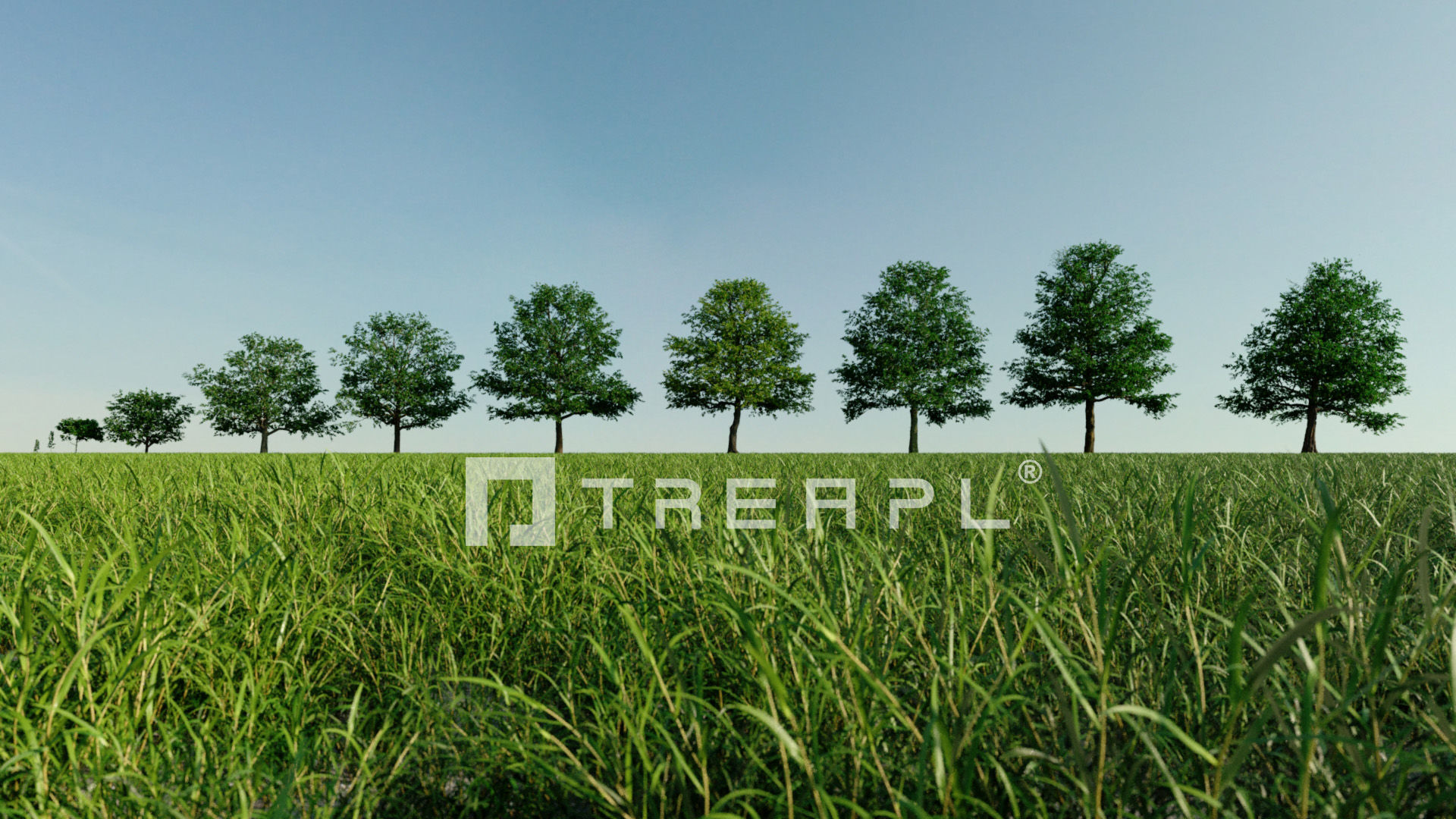 110X Hyper Trees by Treapl 3D model_99