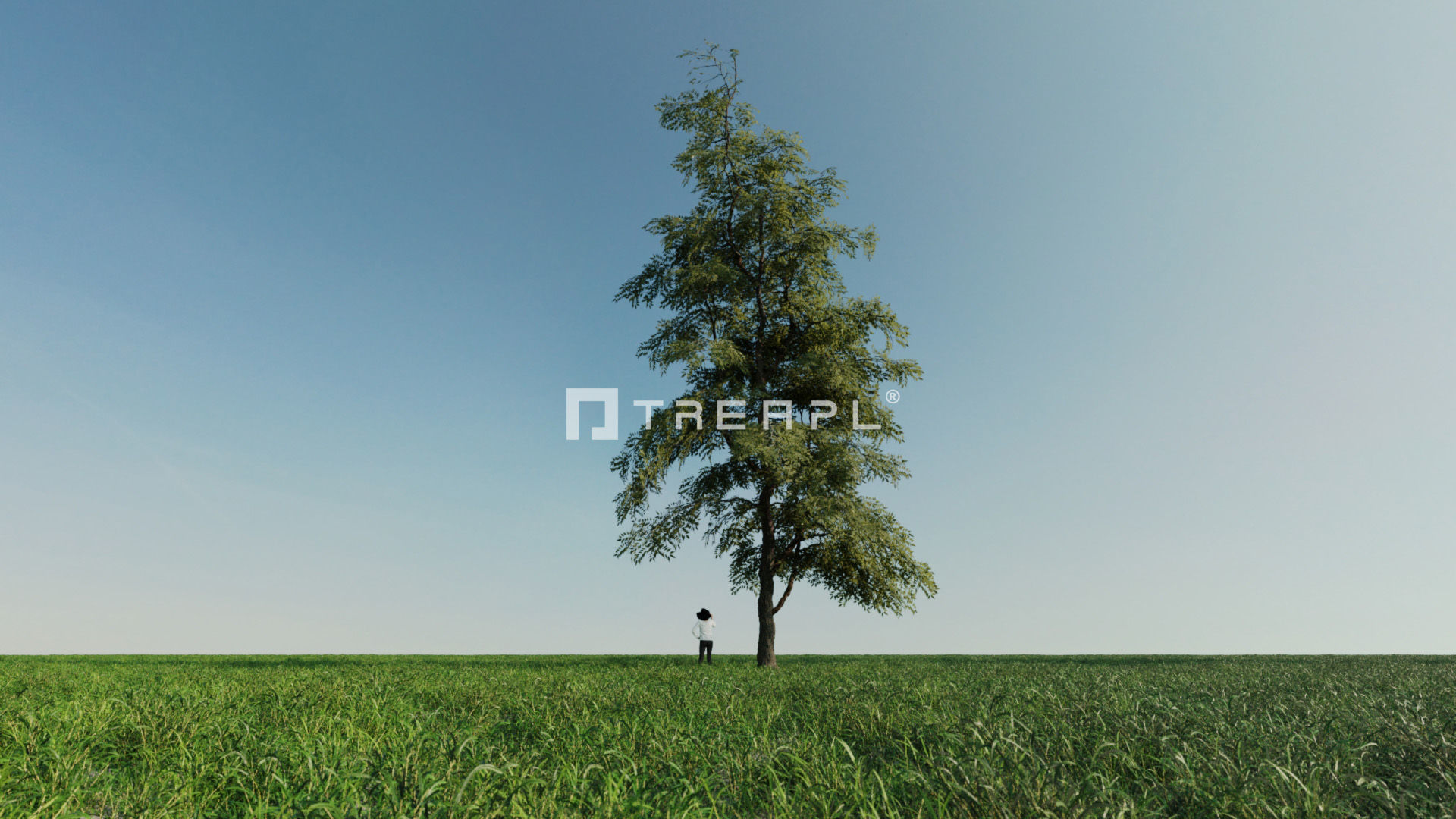 110X Hyper Trees by Treapl 3D model_24
