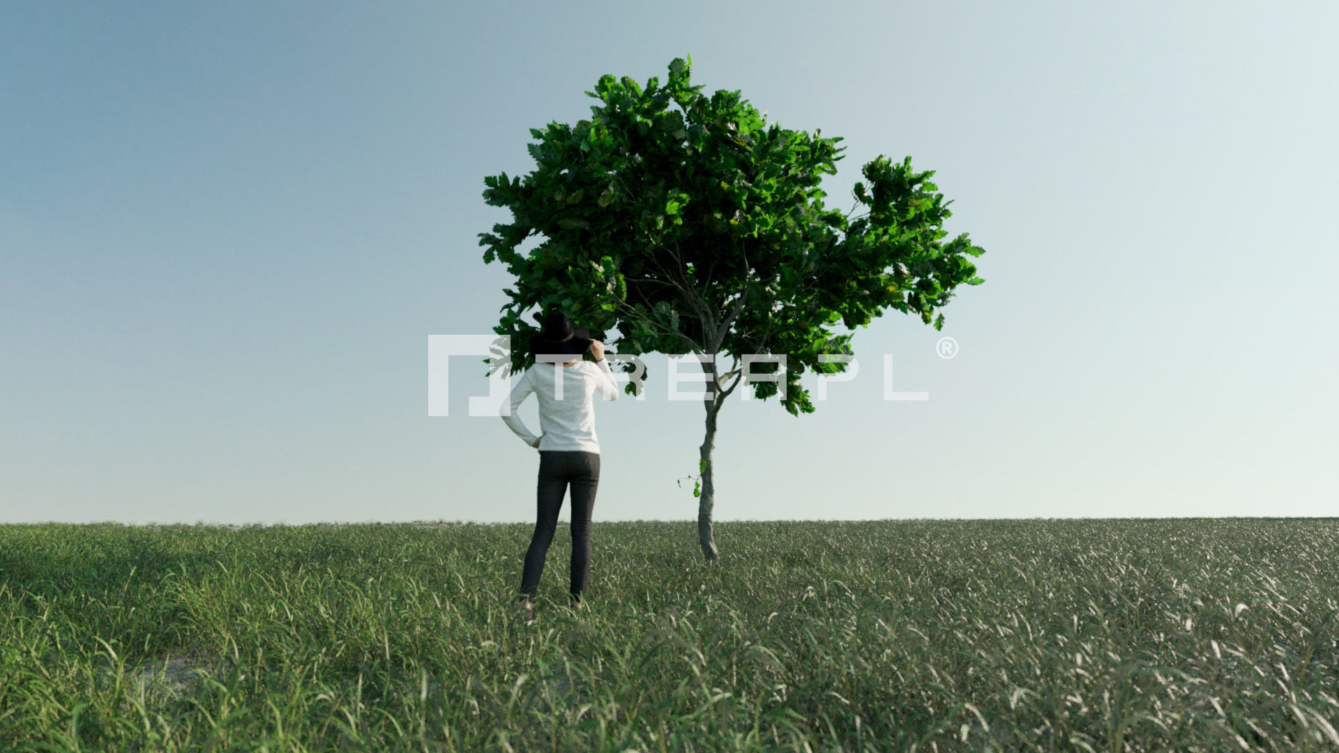 110X Hyper Trees by Treapl 3D model_108
