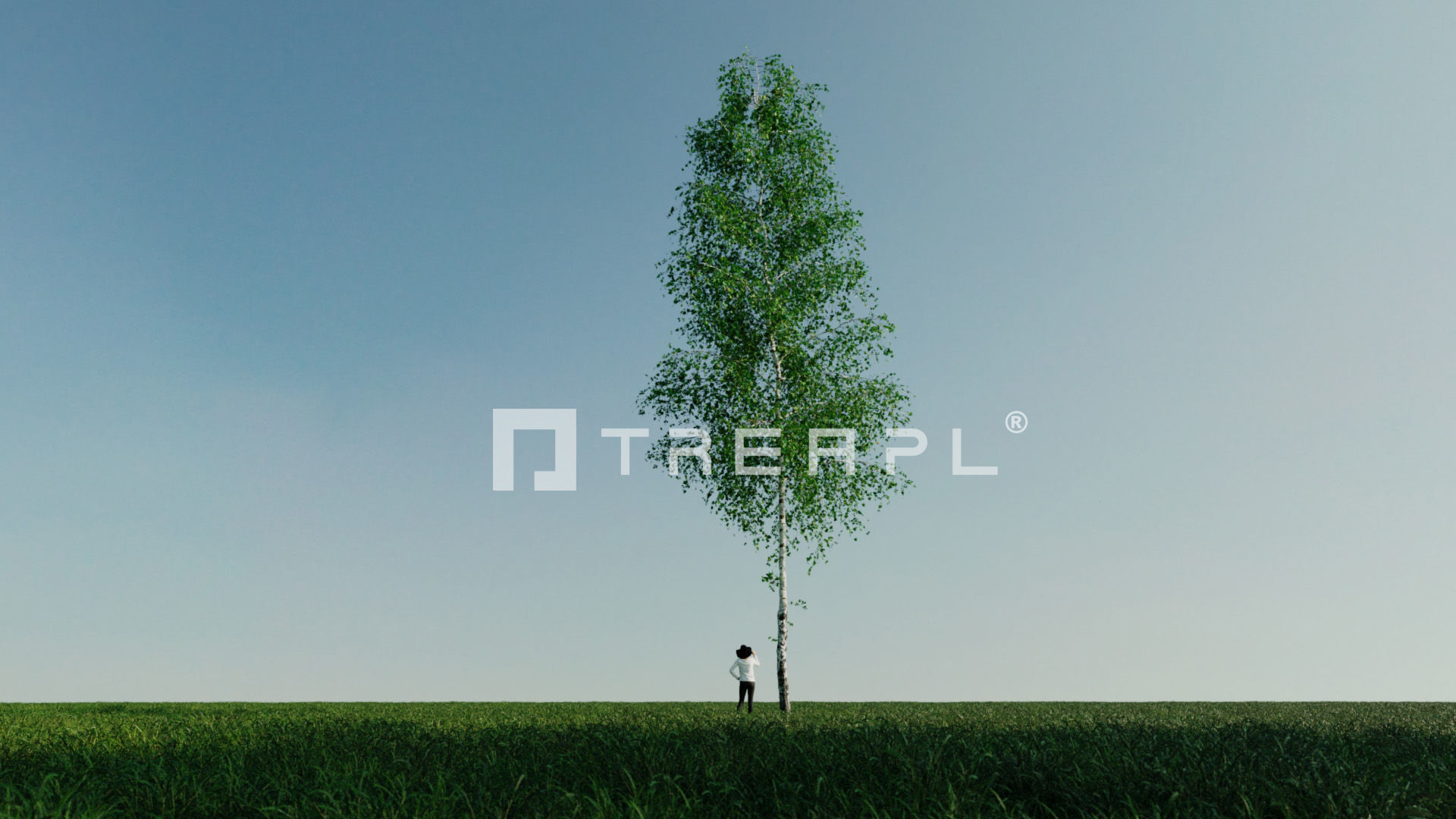 110X Hyper Trees by Treapl 3D model_54