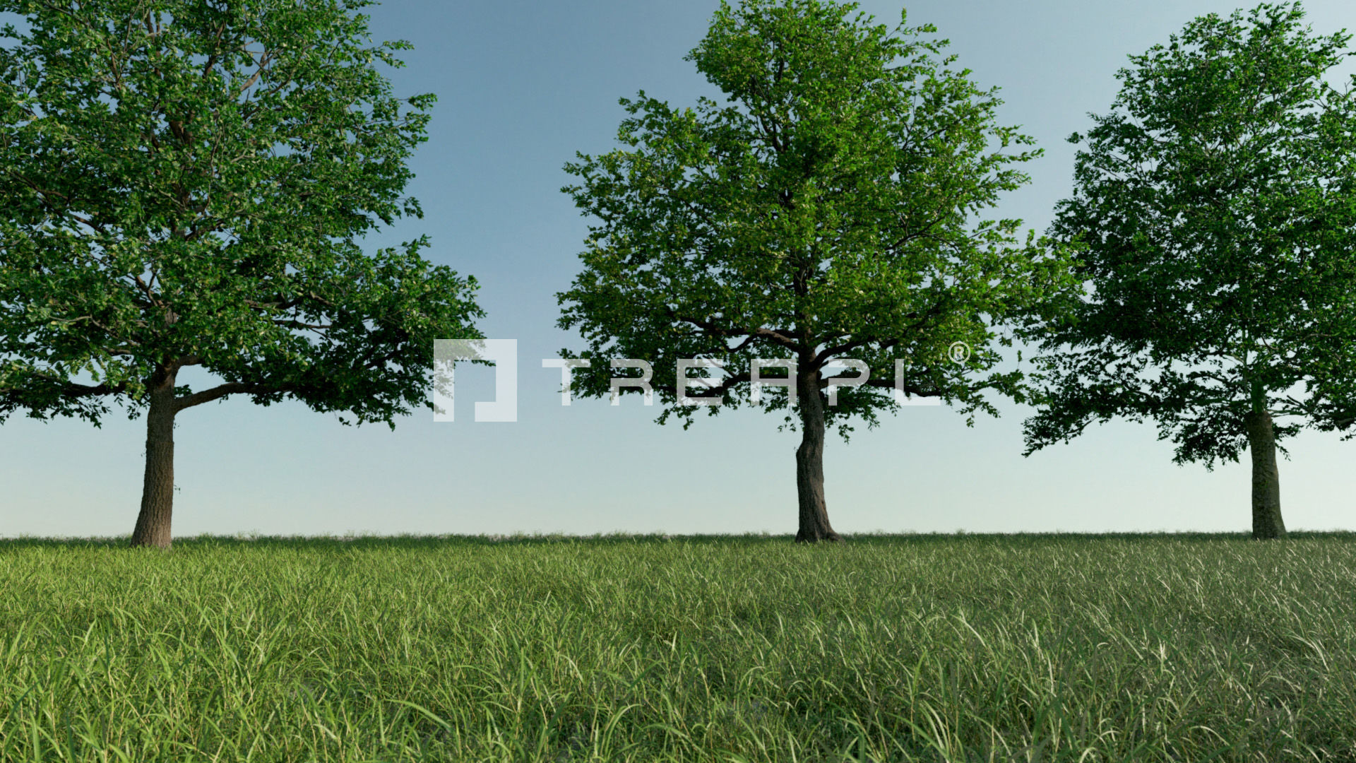 110X Hyper Trees by Treapl 3D model_103