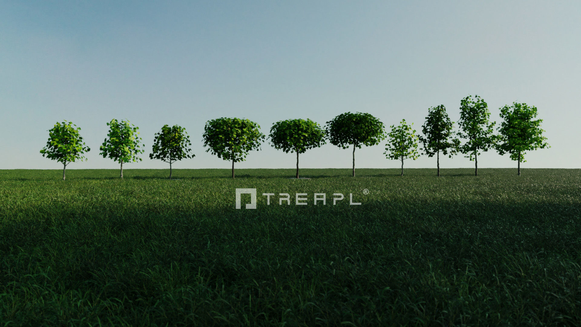 110X Hyper Trees by Treapl 3D model_19