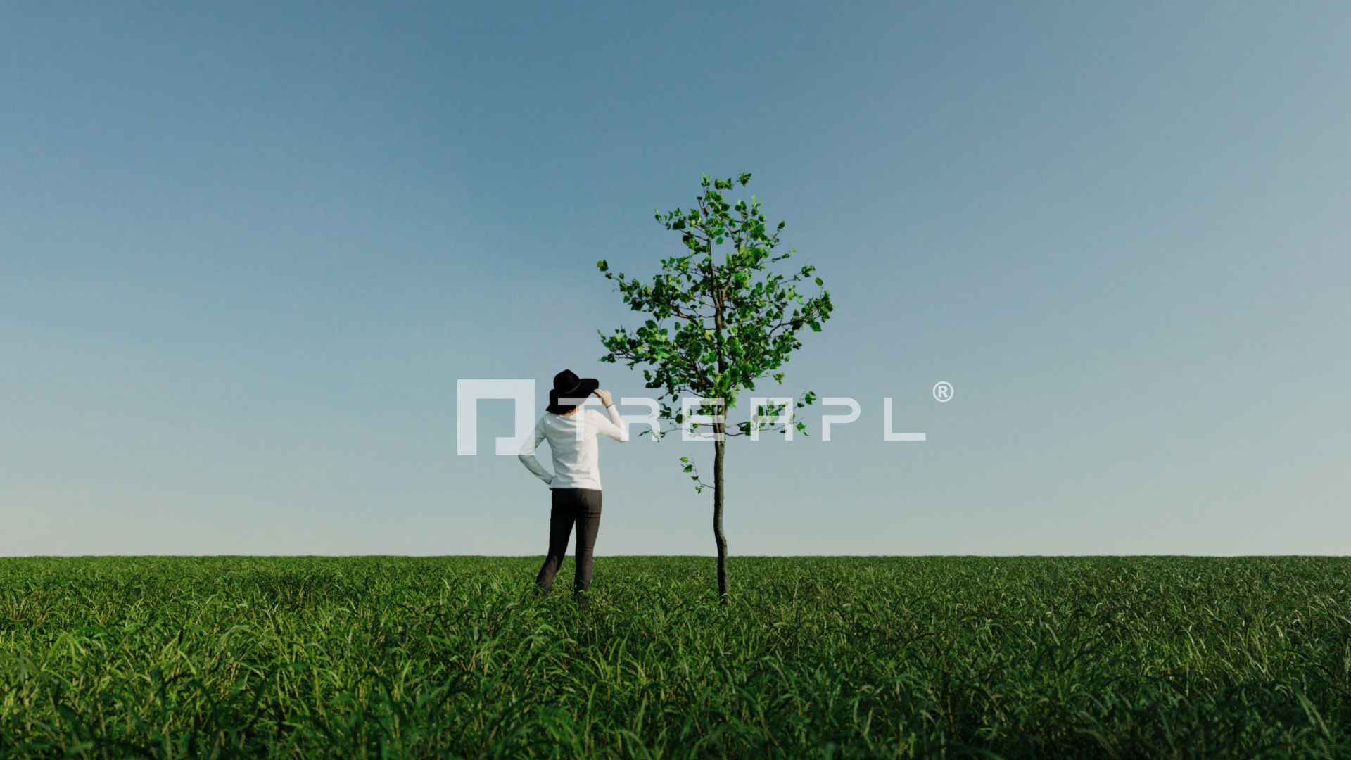 110X Hyper Trees by Treapl 3D model_48