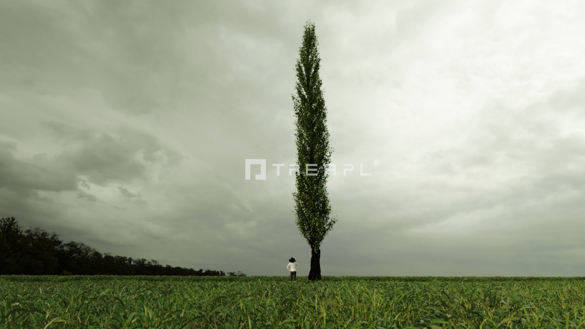 110X Hyper Trees by Treapl 3D model_122