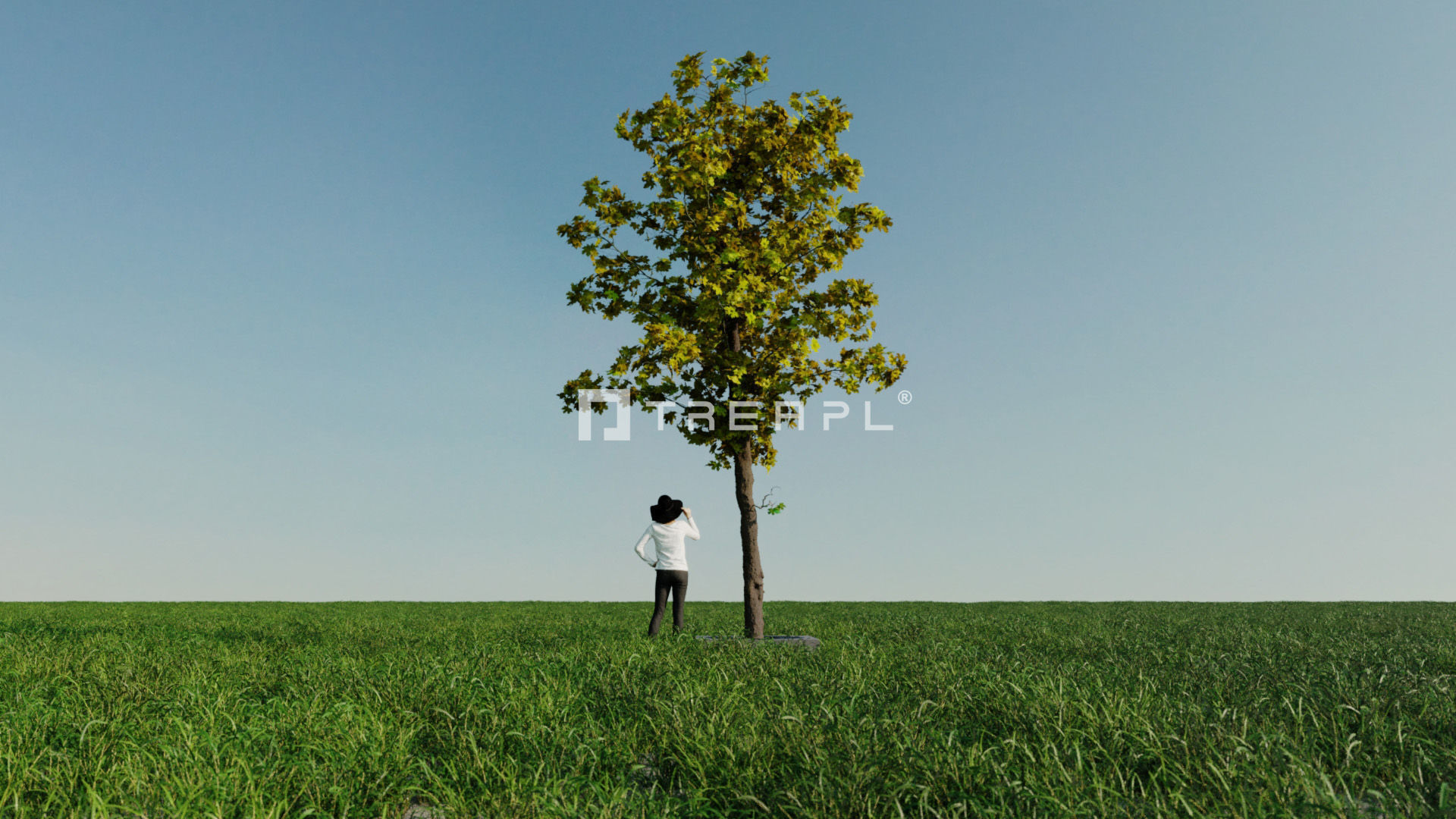 110X Hyper Trees by Treapl 3D model_98