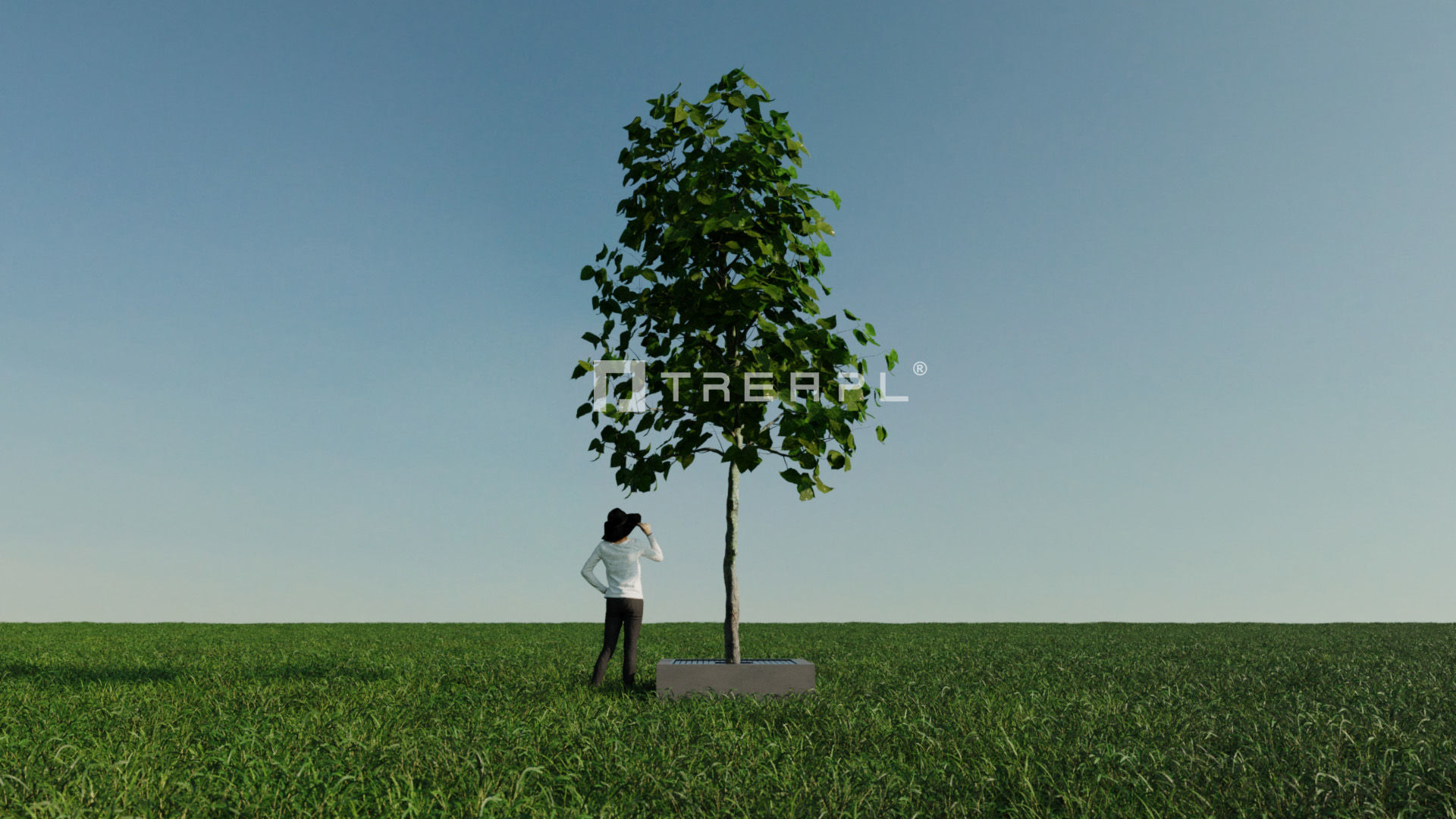 110X Hyper Trees by Treapl 3D model_65