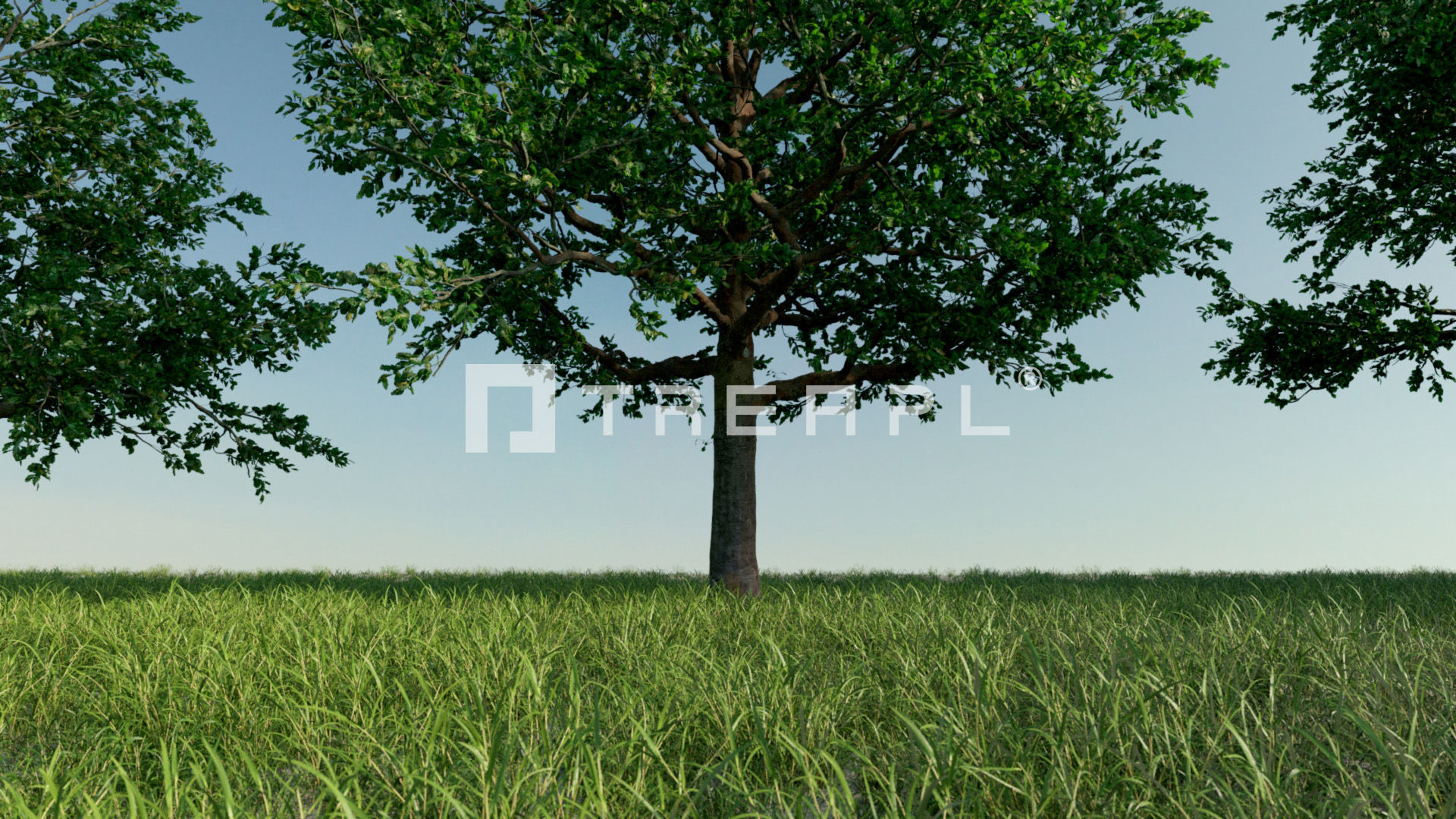 110X Hyper Trees by Treapl 3D model_102