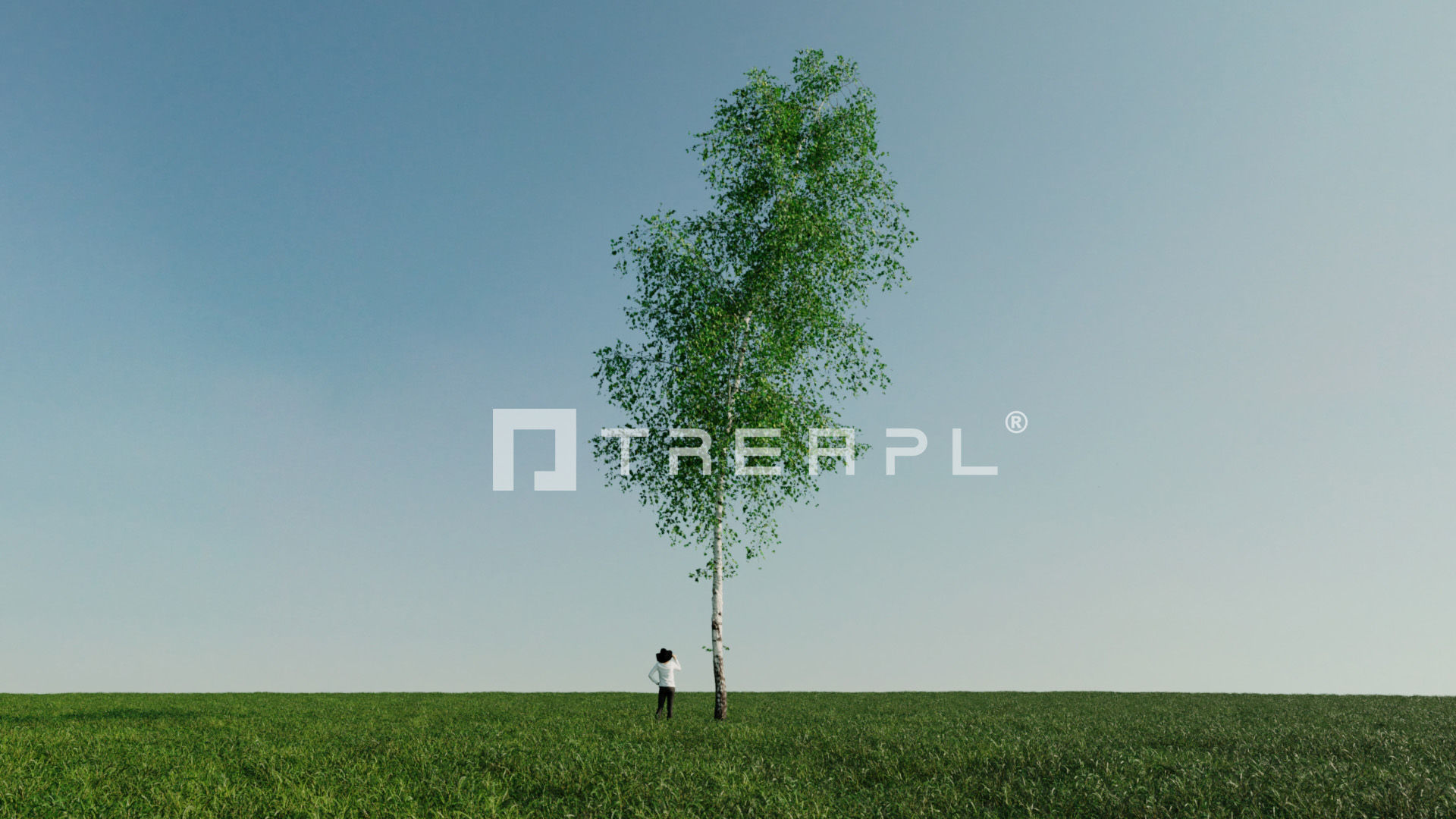 110X Hyper Trees by Treapl 3D model_57