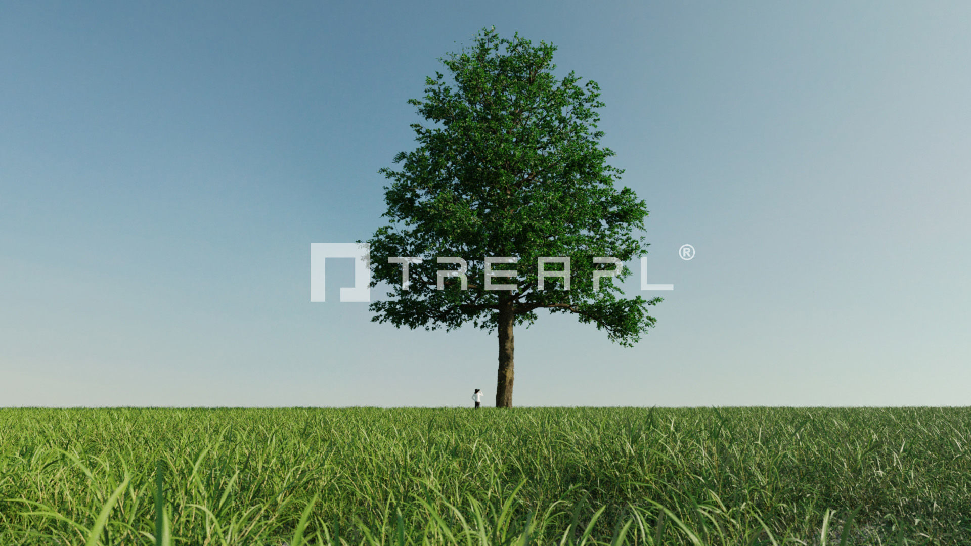 110X Hyper Trees by Treapl 3D model_113