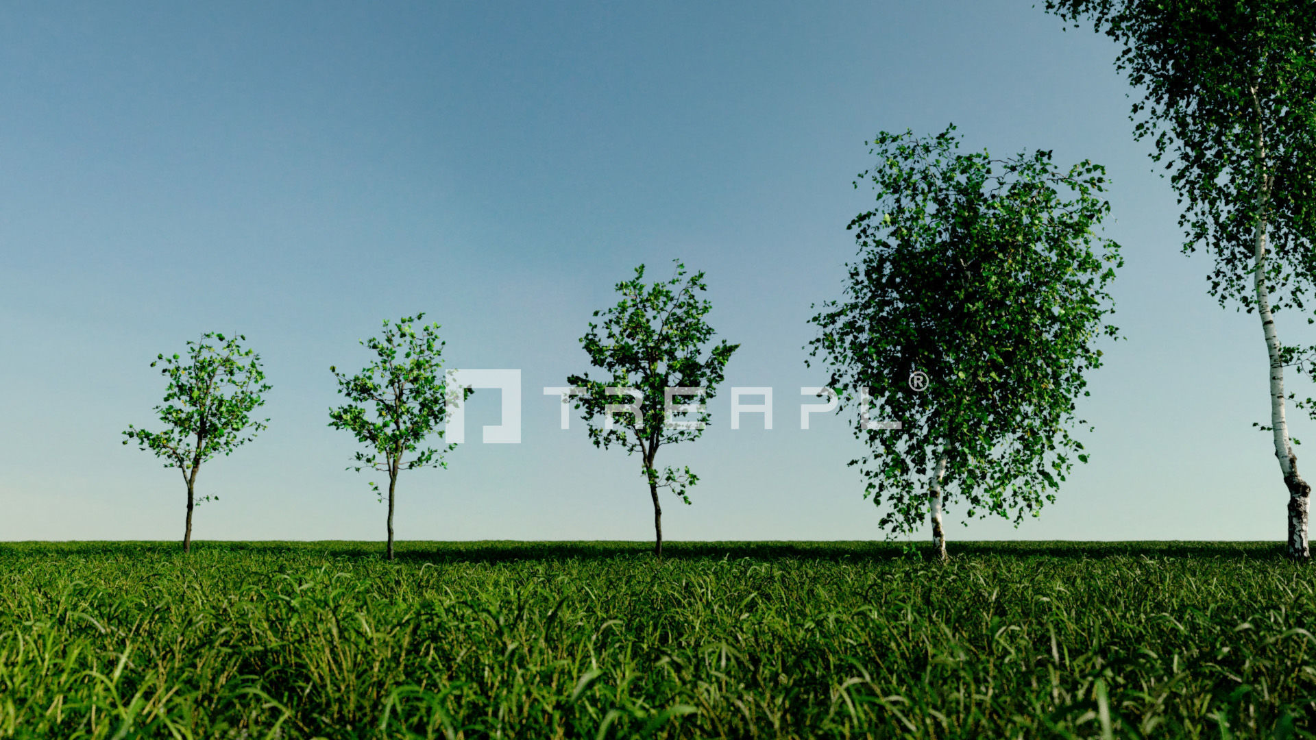 110X Hyper Trees by Treapl 3D model_41