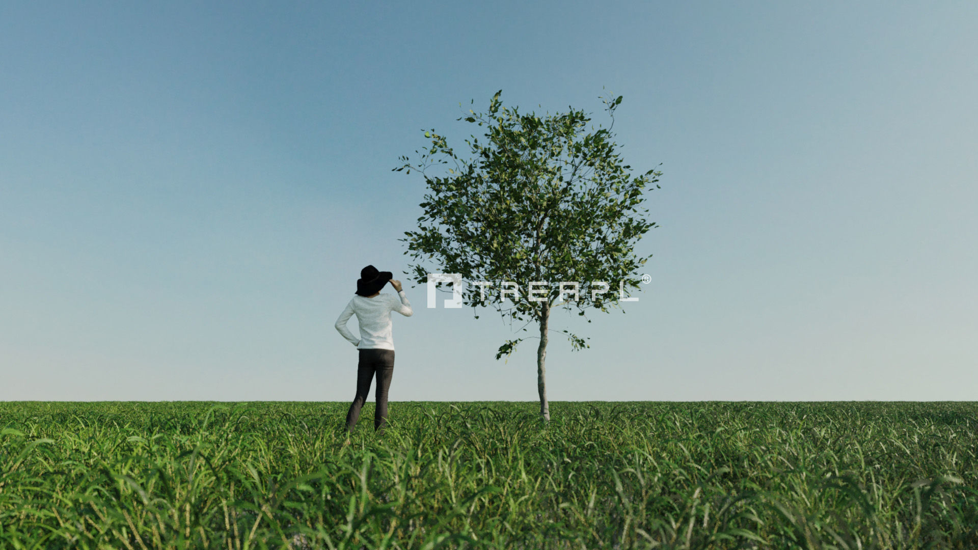 110X Hyper Trees by Treapl 3D model_33