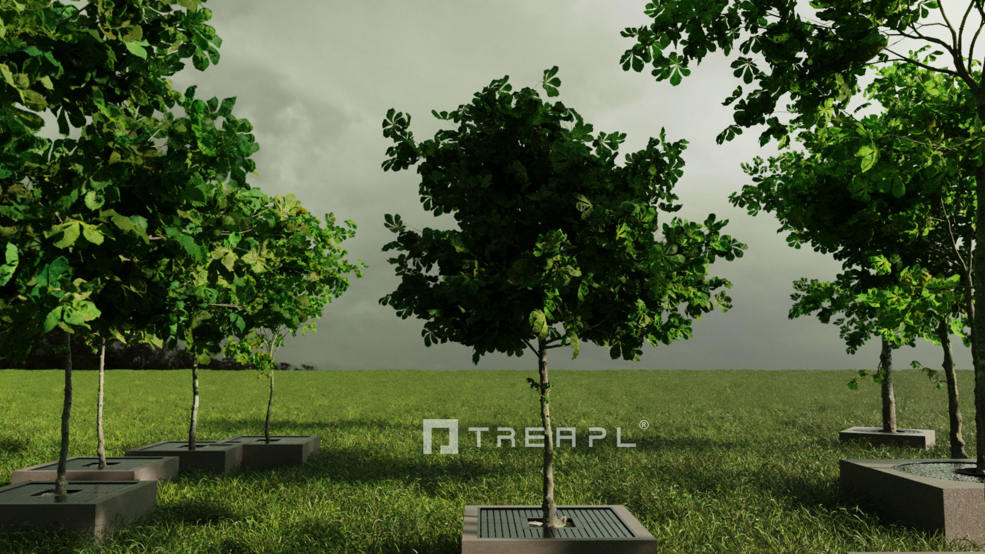110X Hyper Trees by Treapl 3D model_123
