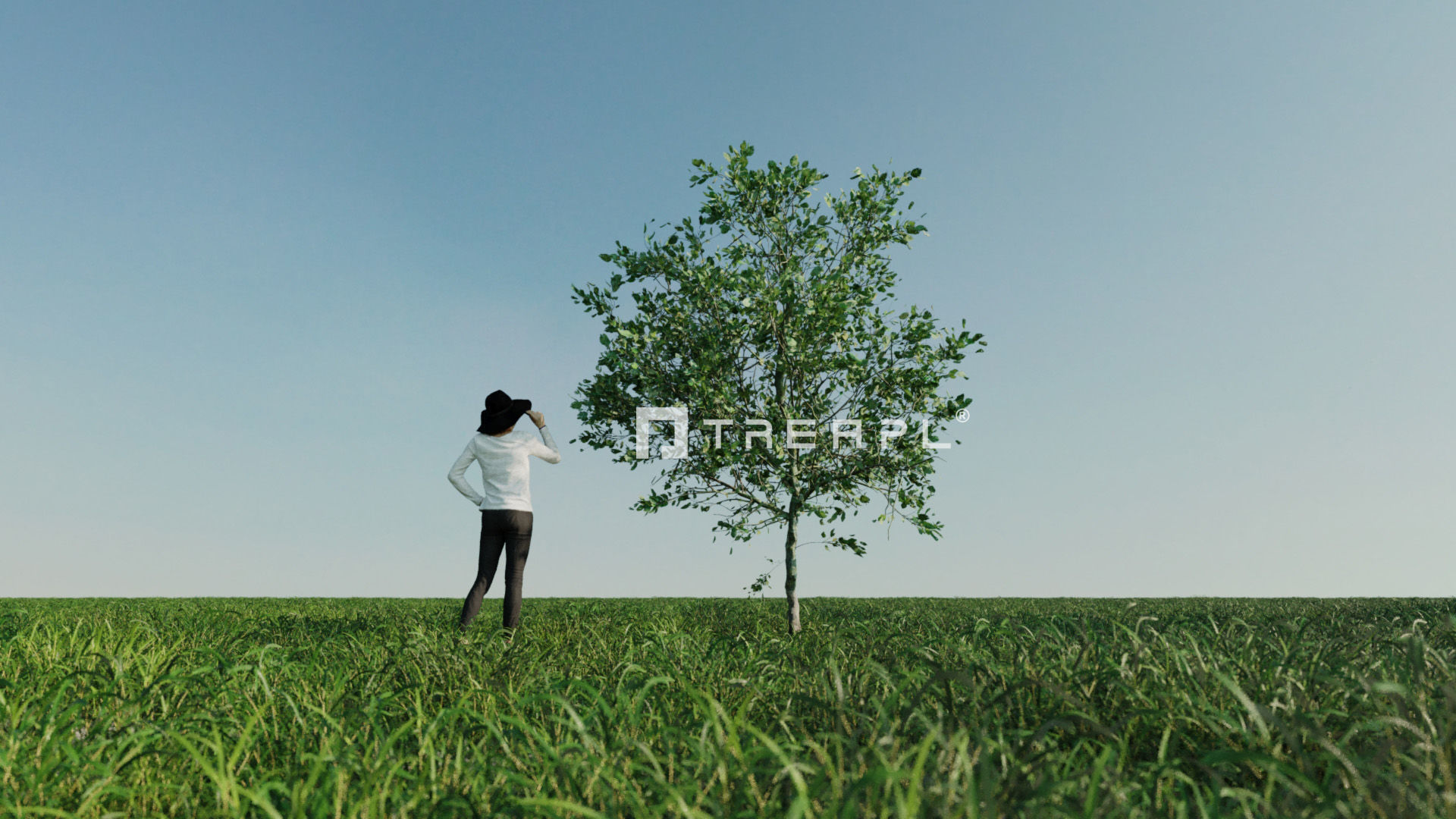 110X Hyper Trees by Treapl 3D model_34