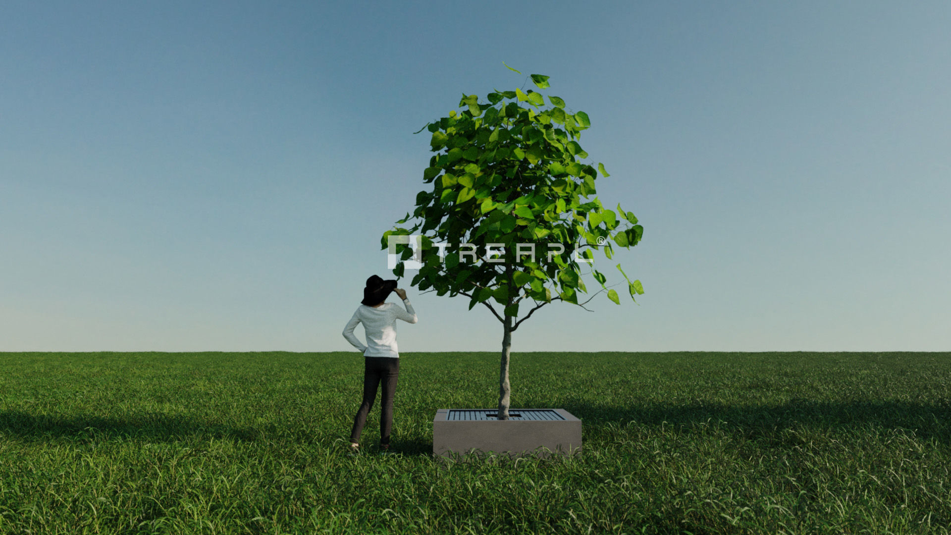 110X Hyper Trees by Treapl 3D model_59