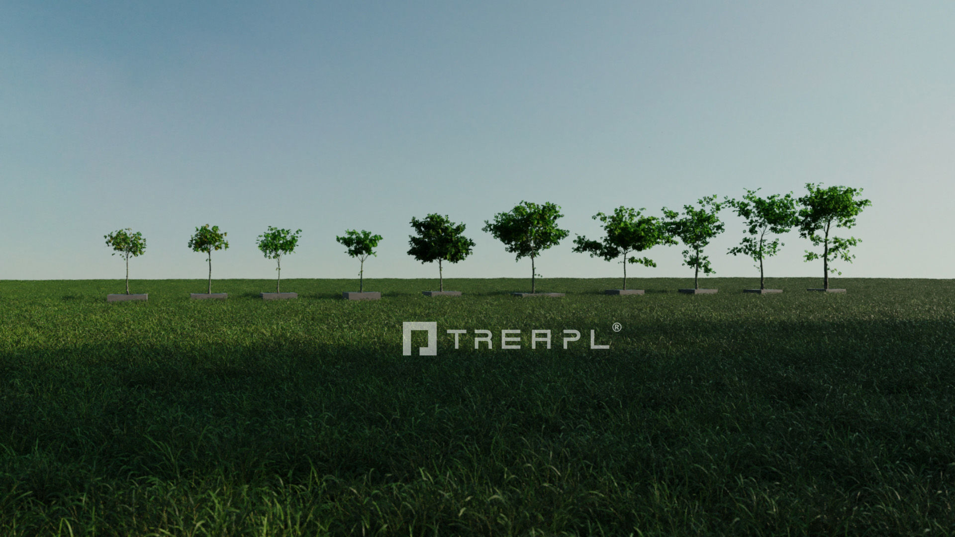 110X Hyper Trees by Treapl 3D model_15