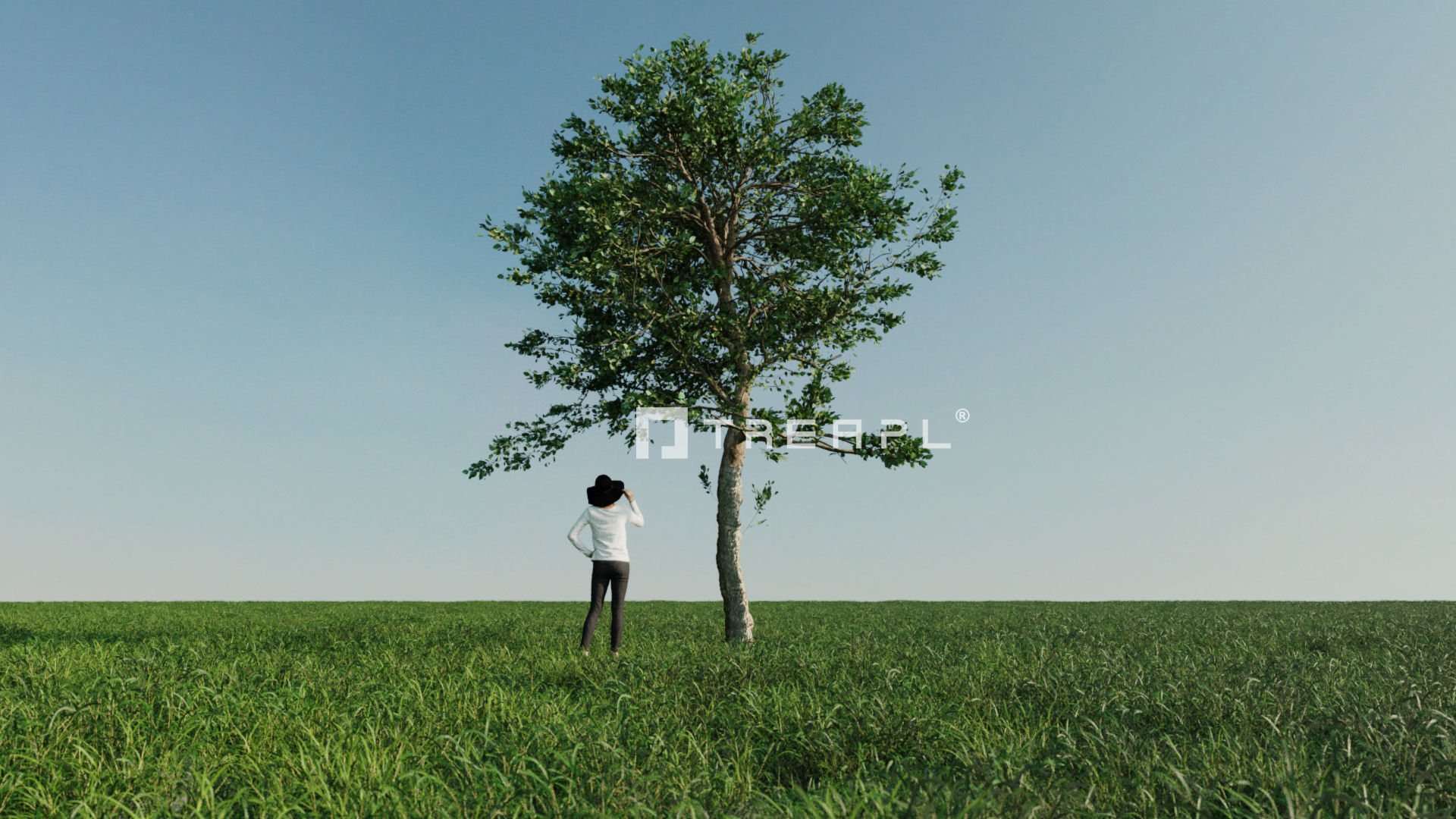 110X Hyper Trees by Treapl 3D model_38