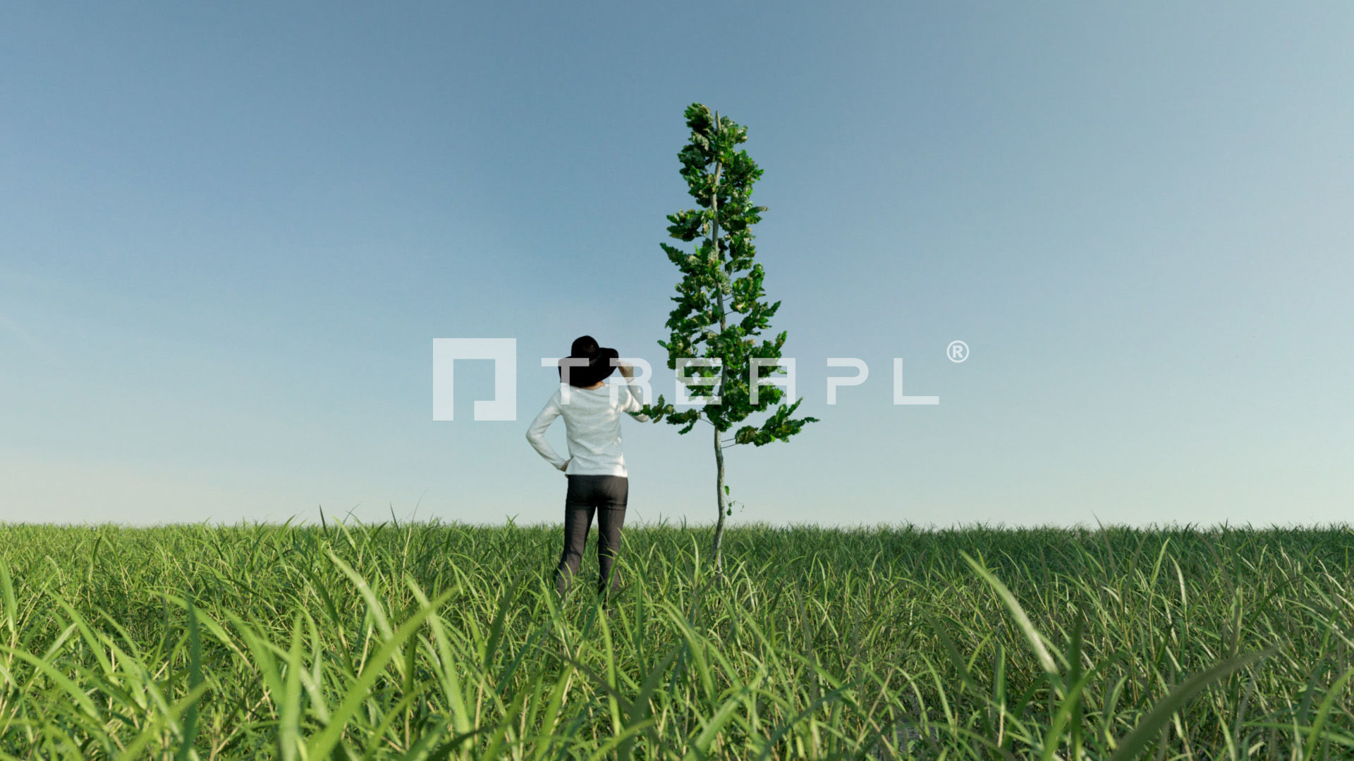 110X Hyper Trees by Treapl 3D model_107