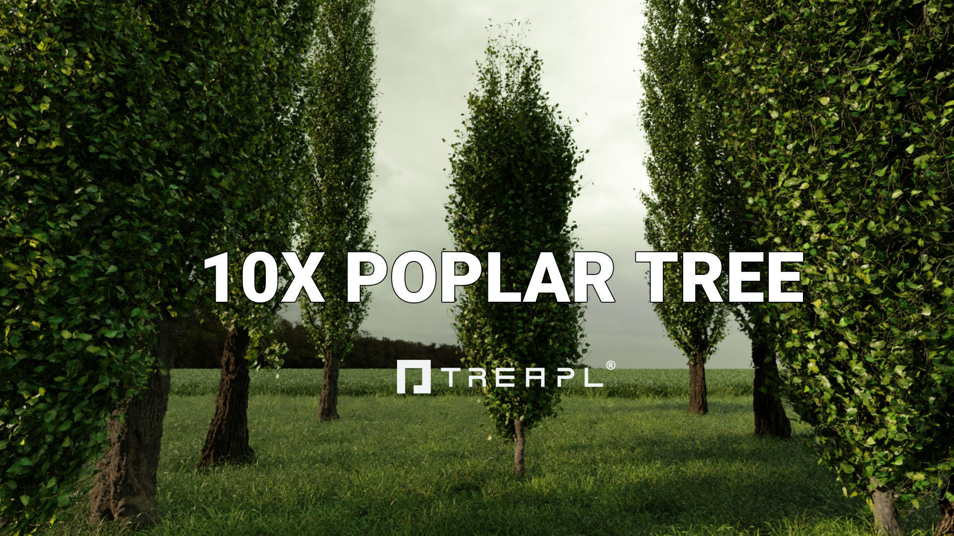 110X Hyper Trees by Treapl 3D model_9