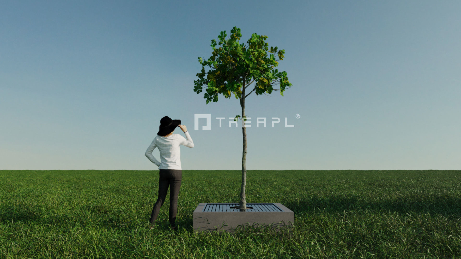 110X Hyper Trees by Treapl 3D model_125
