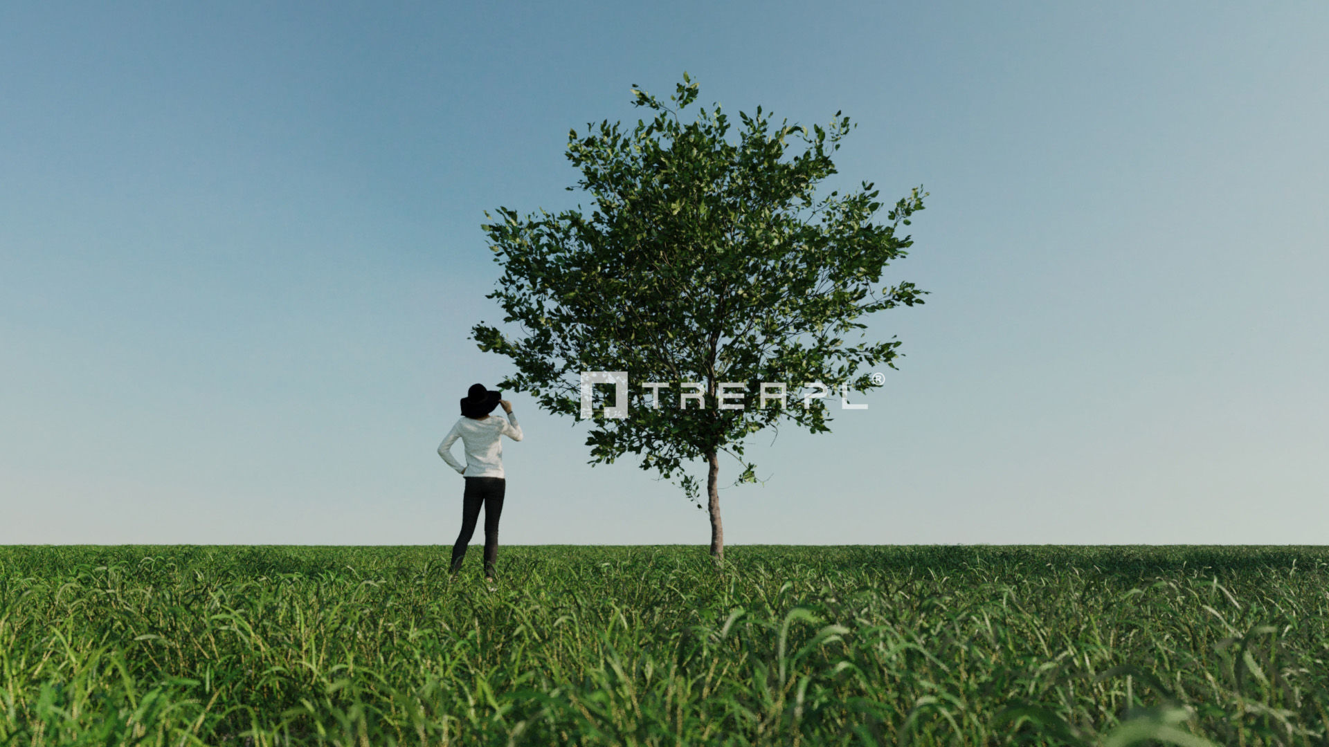 110X Hyper Trees by Treapl 3D model_35