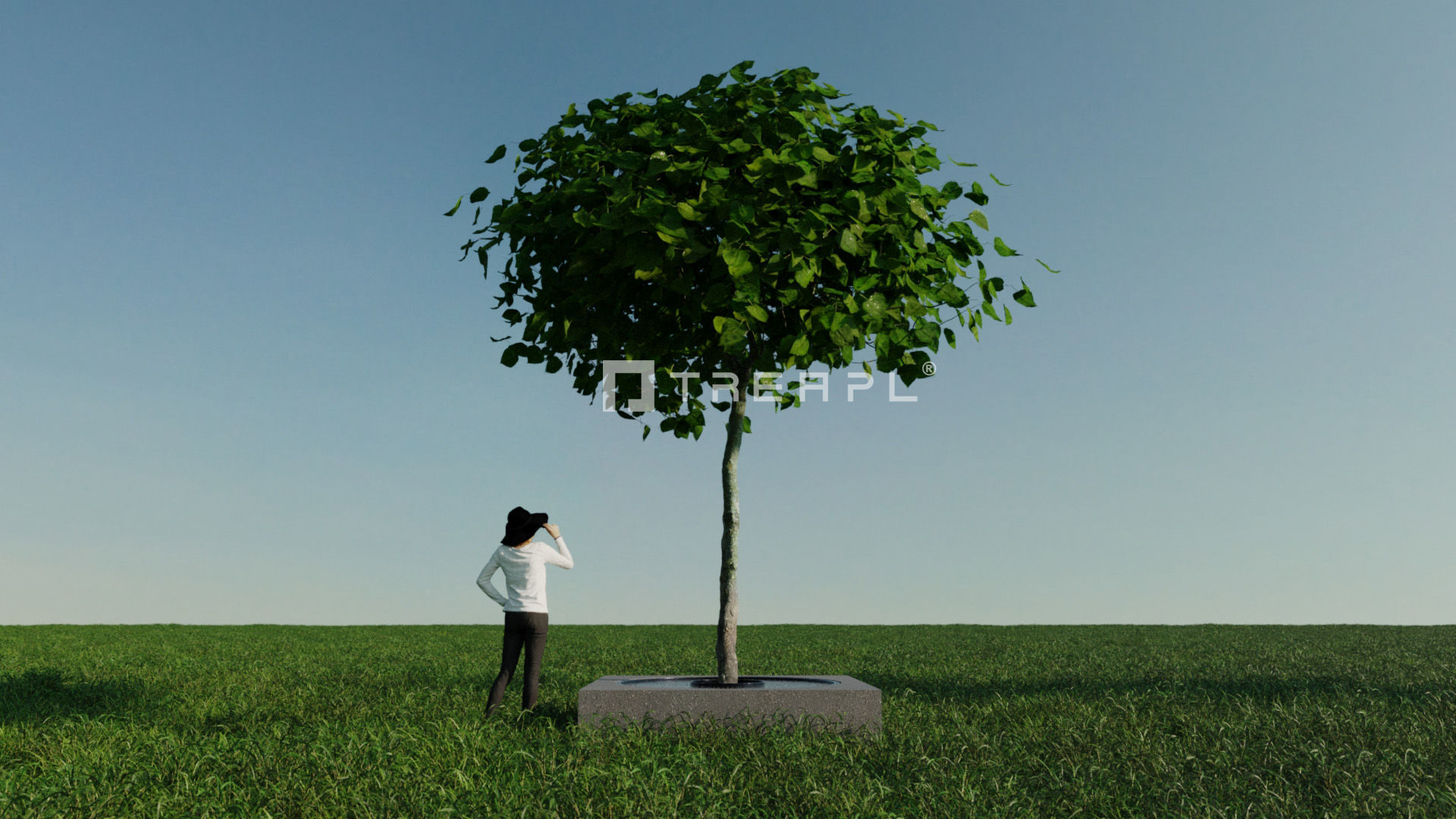 110X Hyper Trees by Treapl 3D model_63