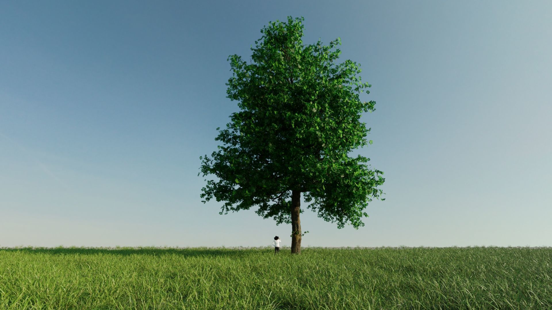 110X Hyper Trees by Treapl 3D model_77