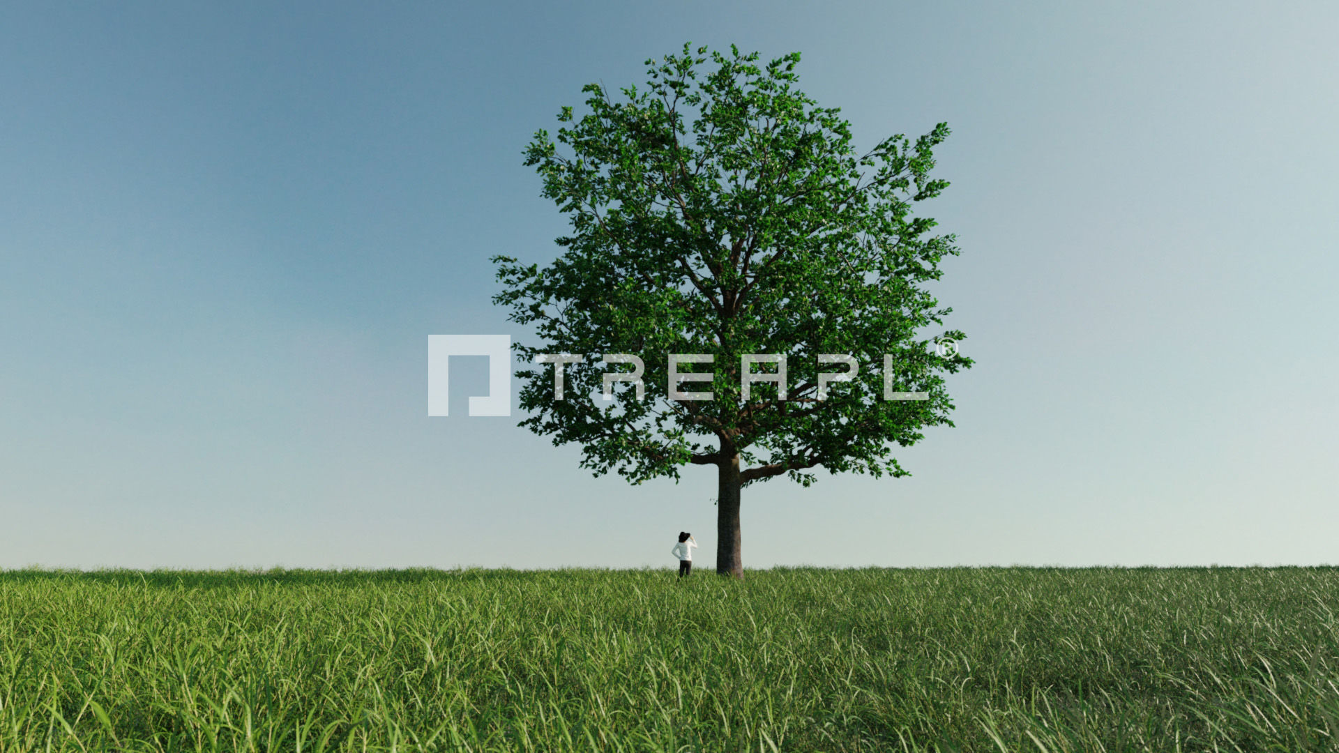 110X Hyper Trees by Treapl 3D model_110