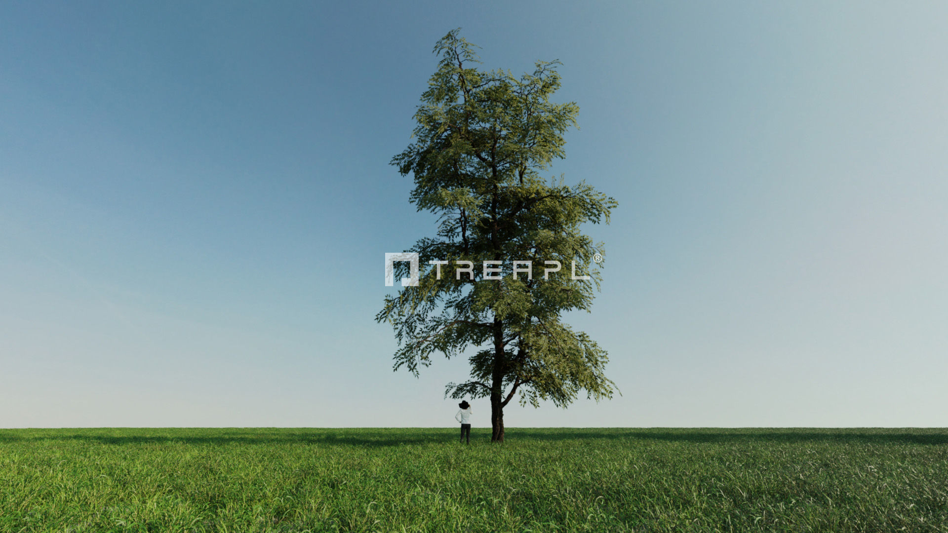 110X Hyper Trees by Treapl 3D model_23