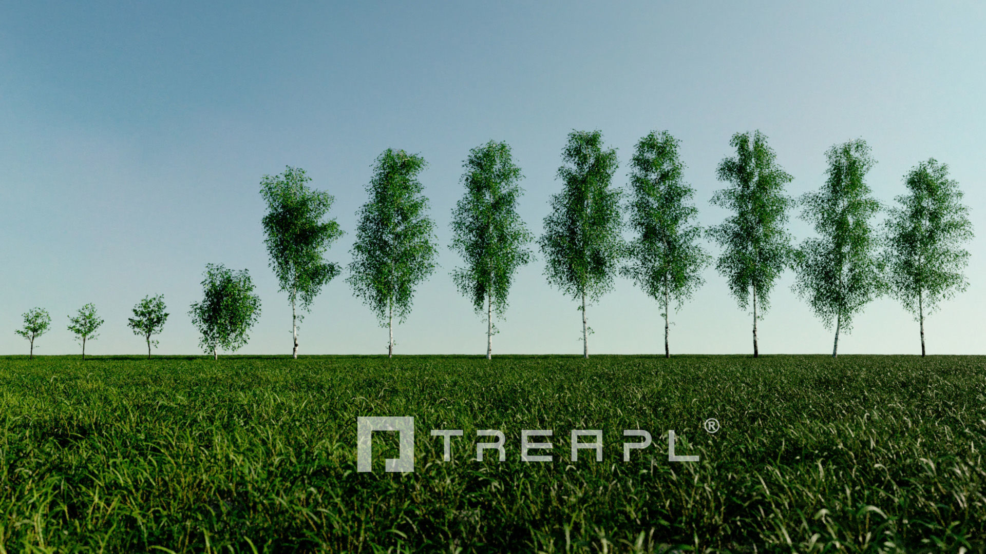 110X Hyper Trees by Treapl 3D model_20