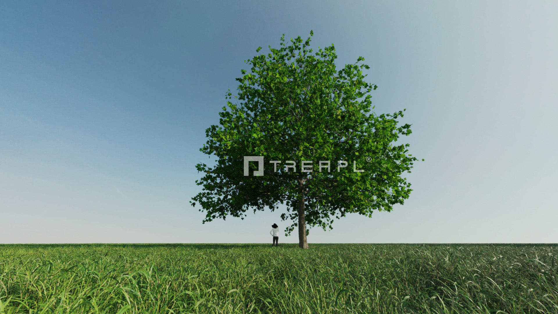 110X Hyper Trees by Treapl 3D model_82